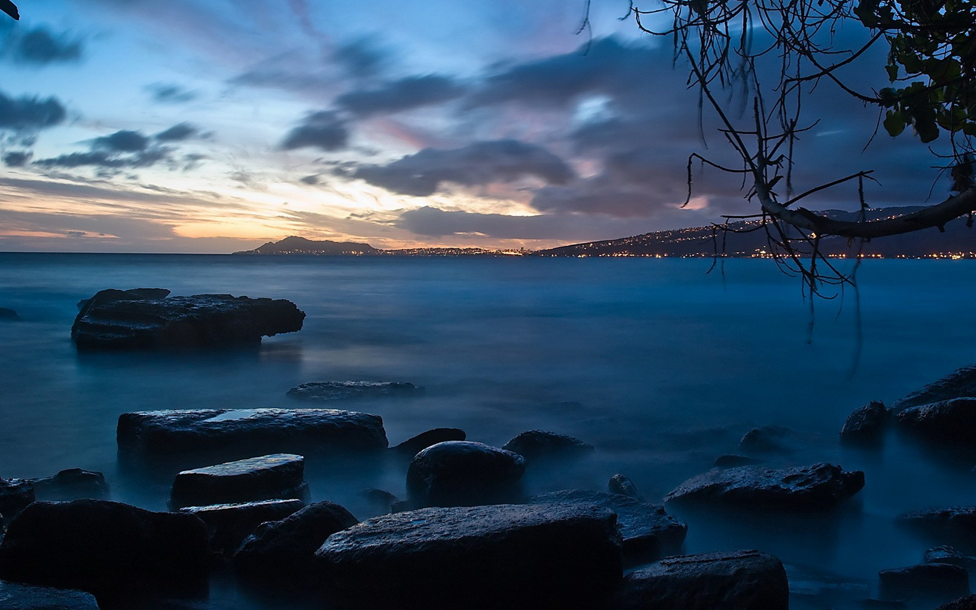 Wallpapers branches clouds horizon on the desktop