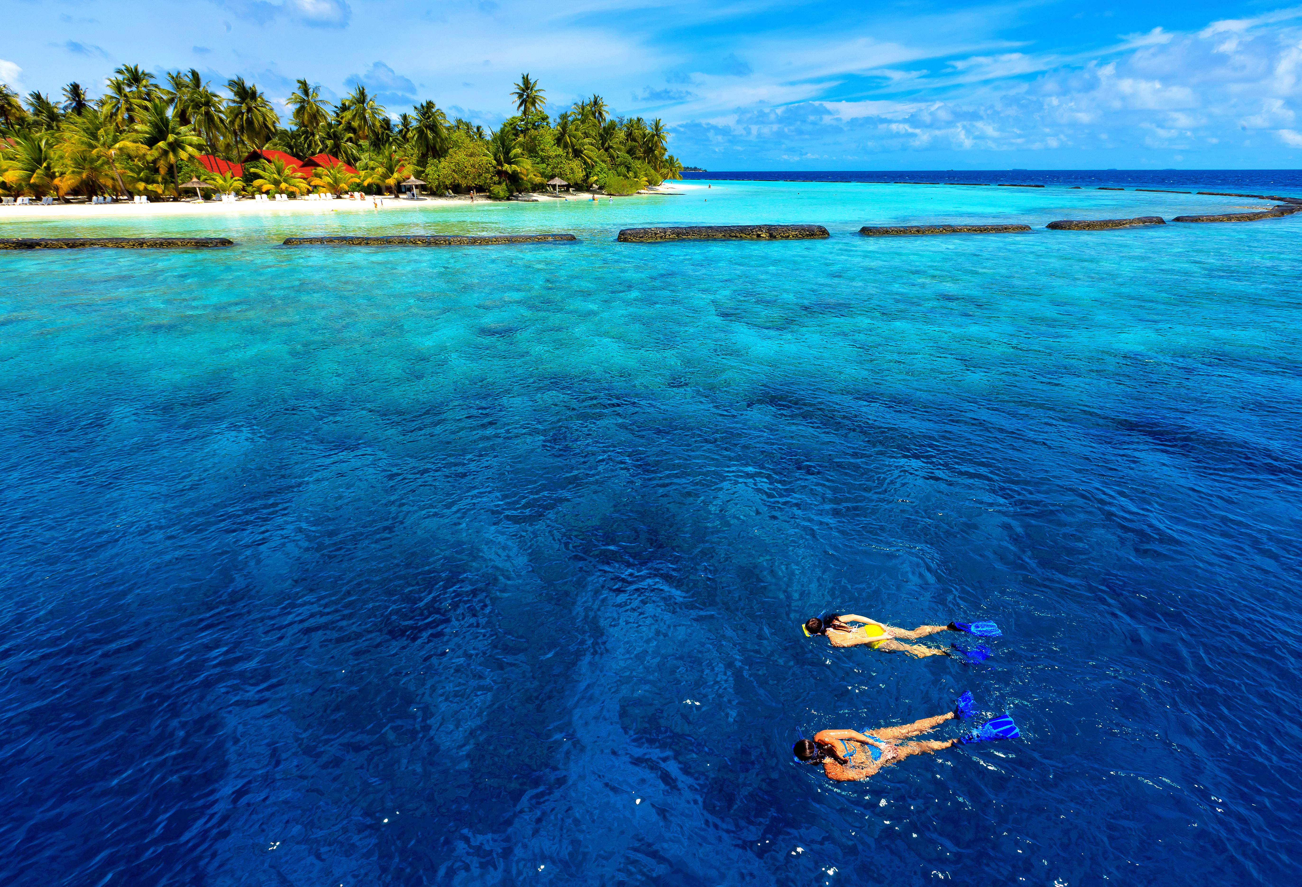 桌面上的壁纸热带地区 潜泳 马尔代夫
