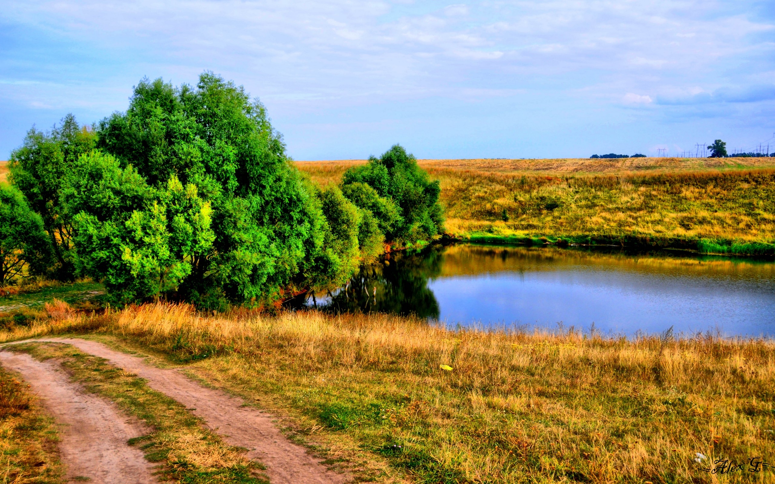 Wallpapers village trees grass on the desktop