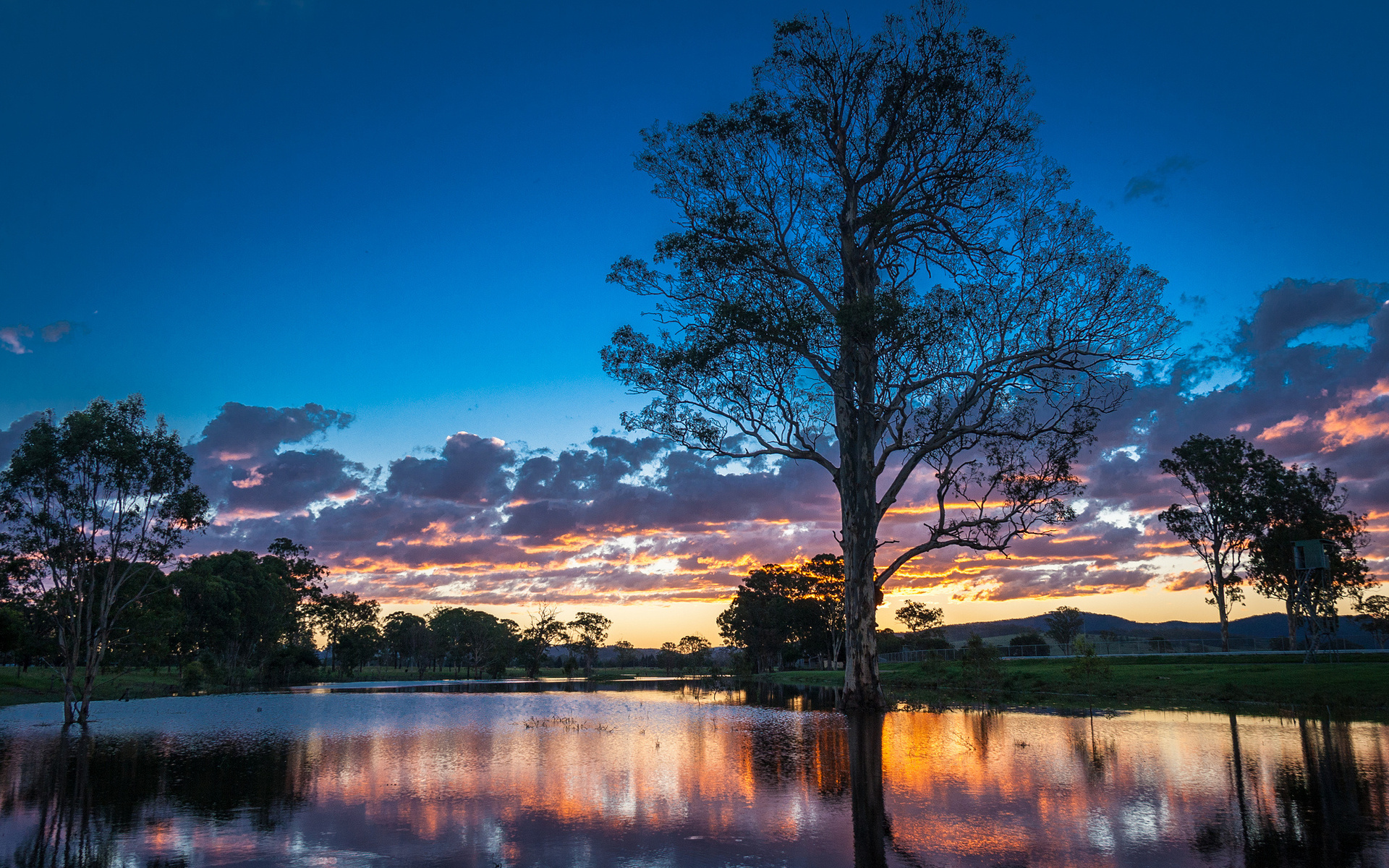 Free photo Screensaver trees, river, water