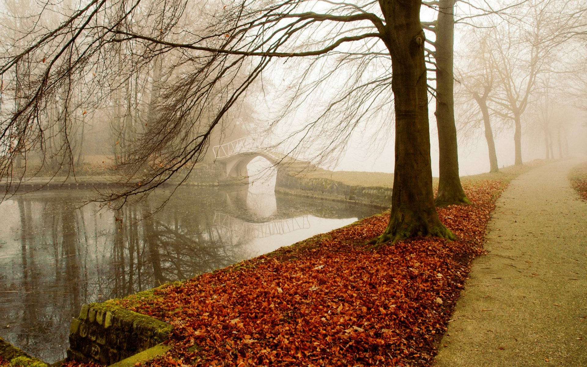 Wallpapers autumn park alley on the desktop