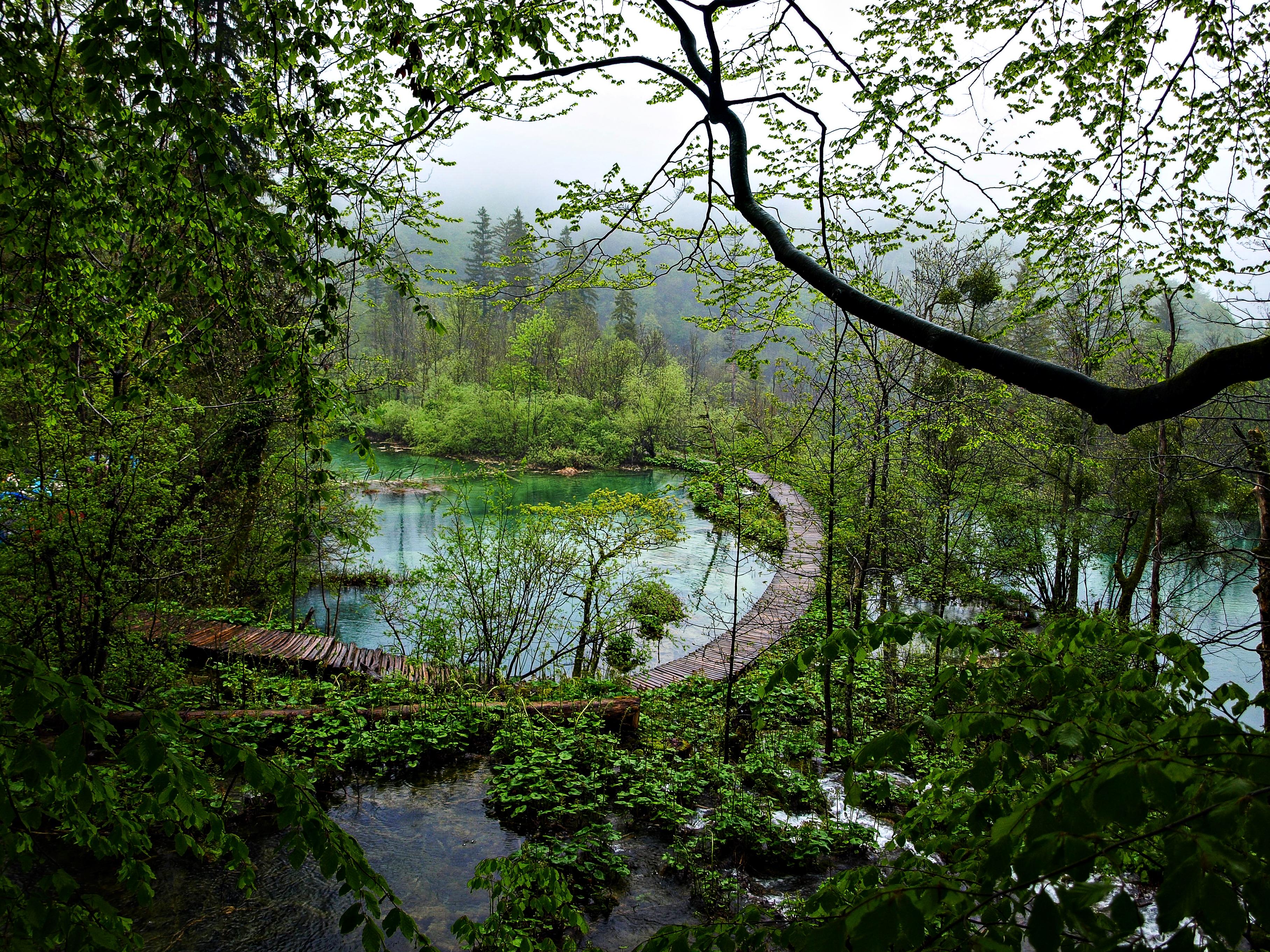 Wallpapers Croatia Plitvice lakes Nature Park on the desktop