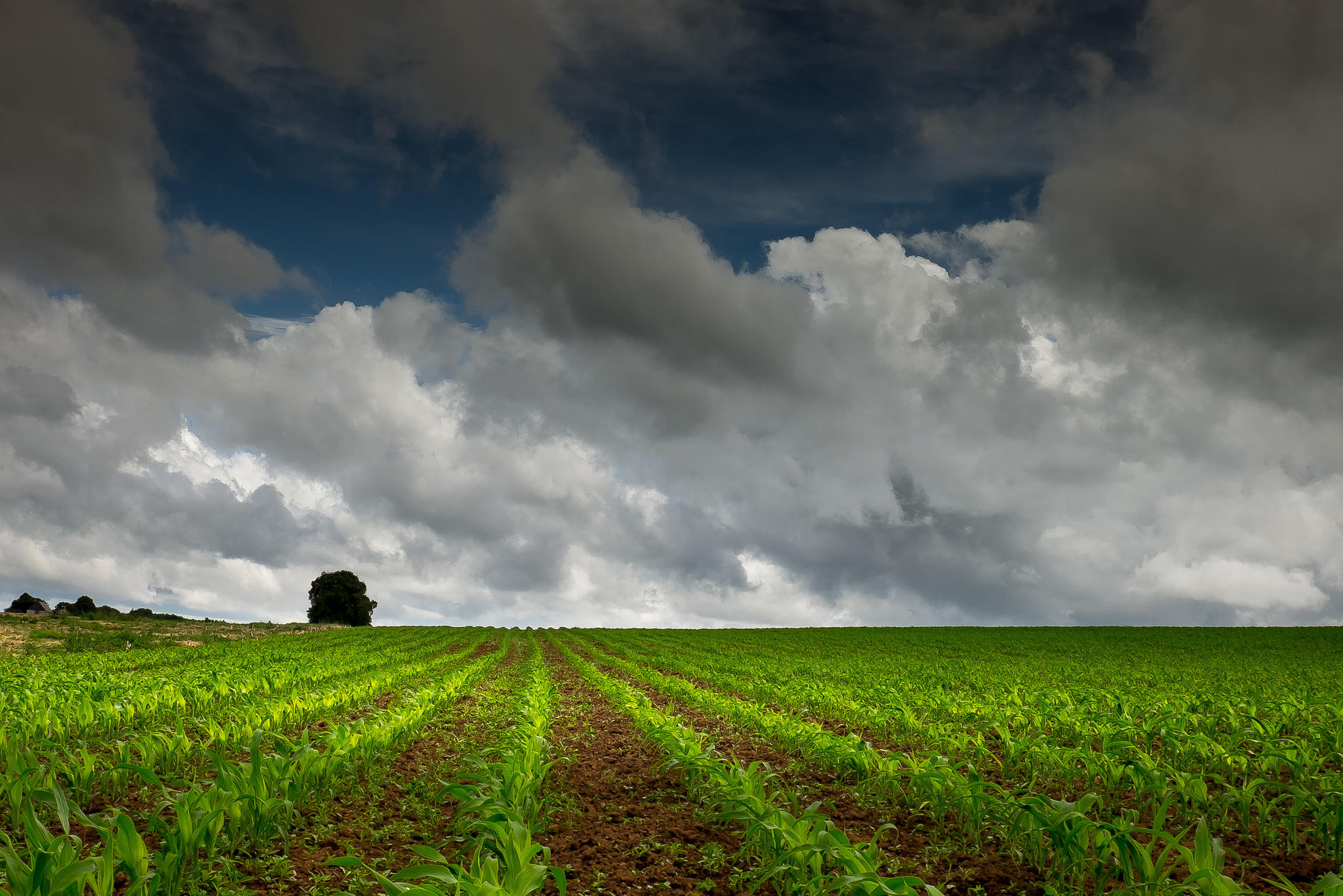 Free photo Photo online free field, the sky