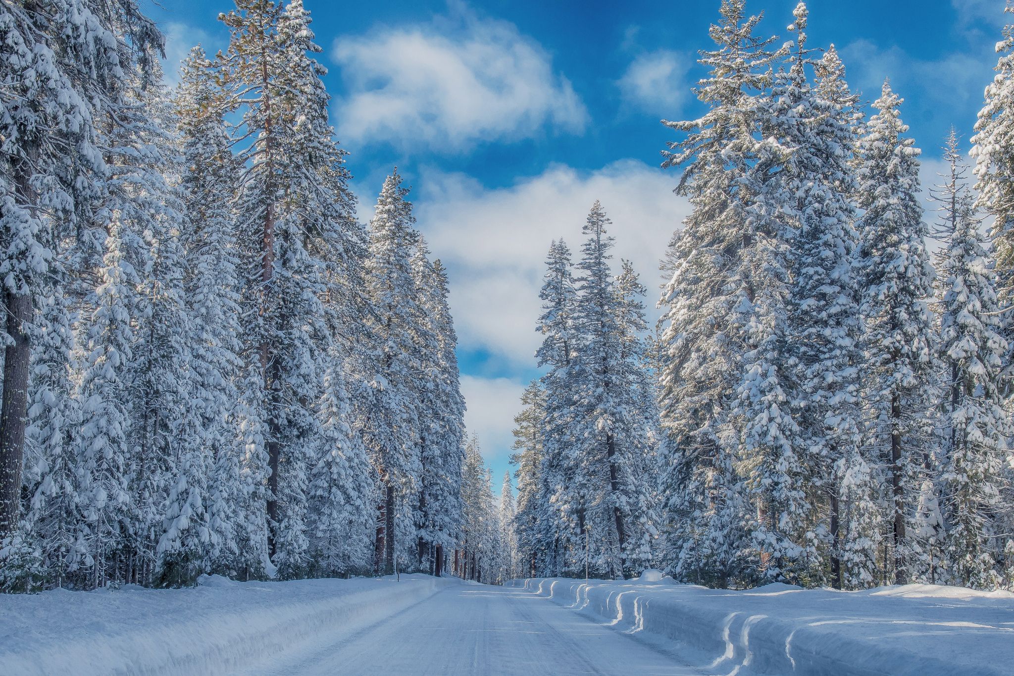 Wallpapers Crater Lake National Park road forest on the desktop