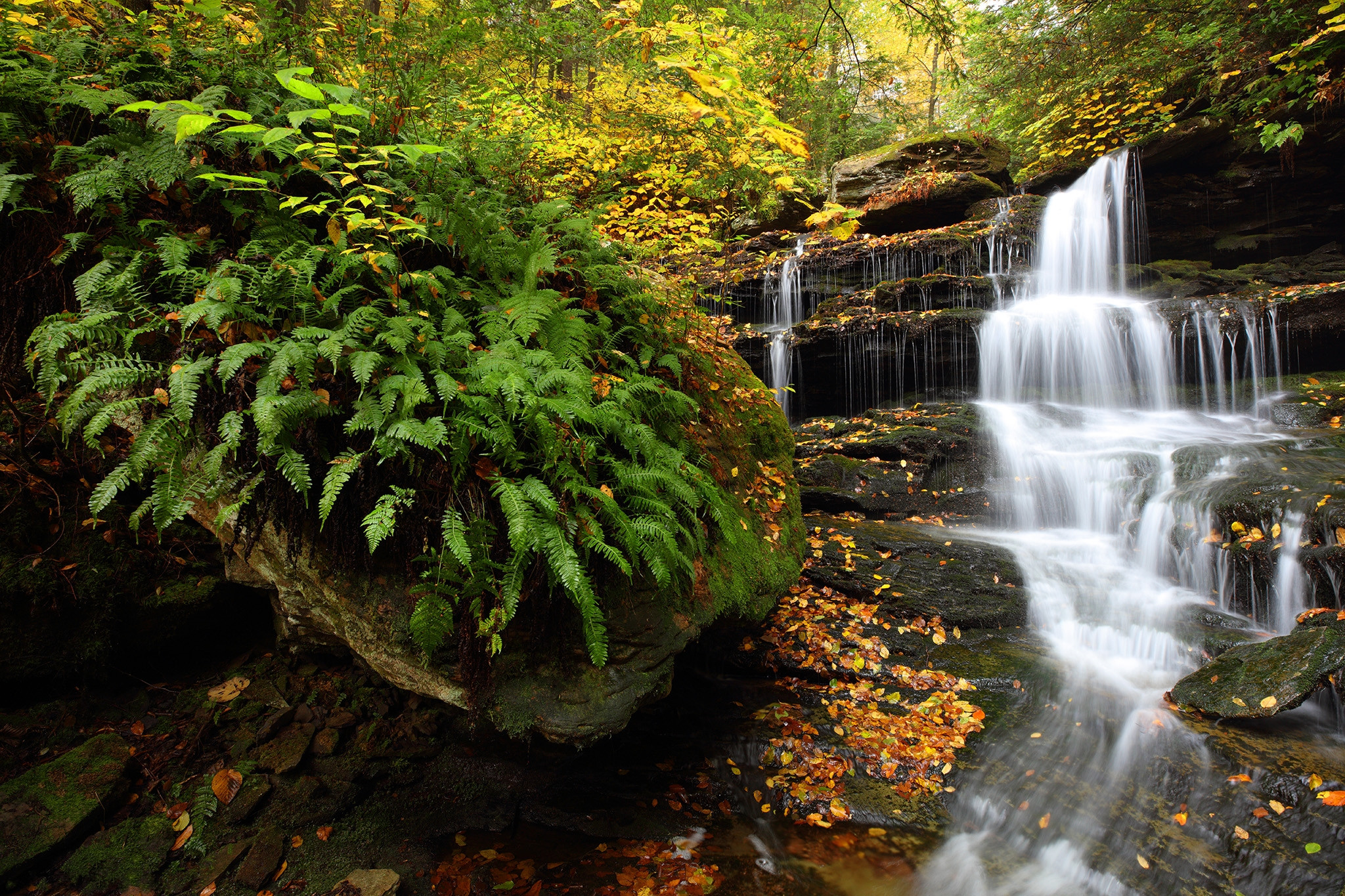 Wallpapers Hidden Falls Ricketts Glen State Park autumn on the desktop