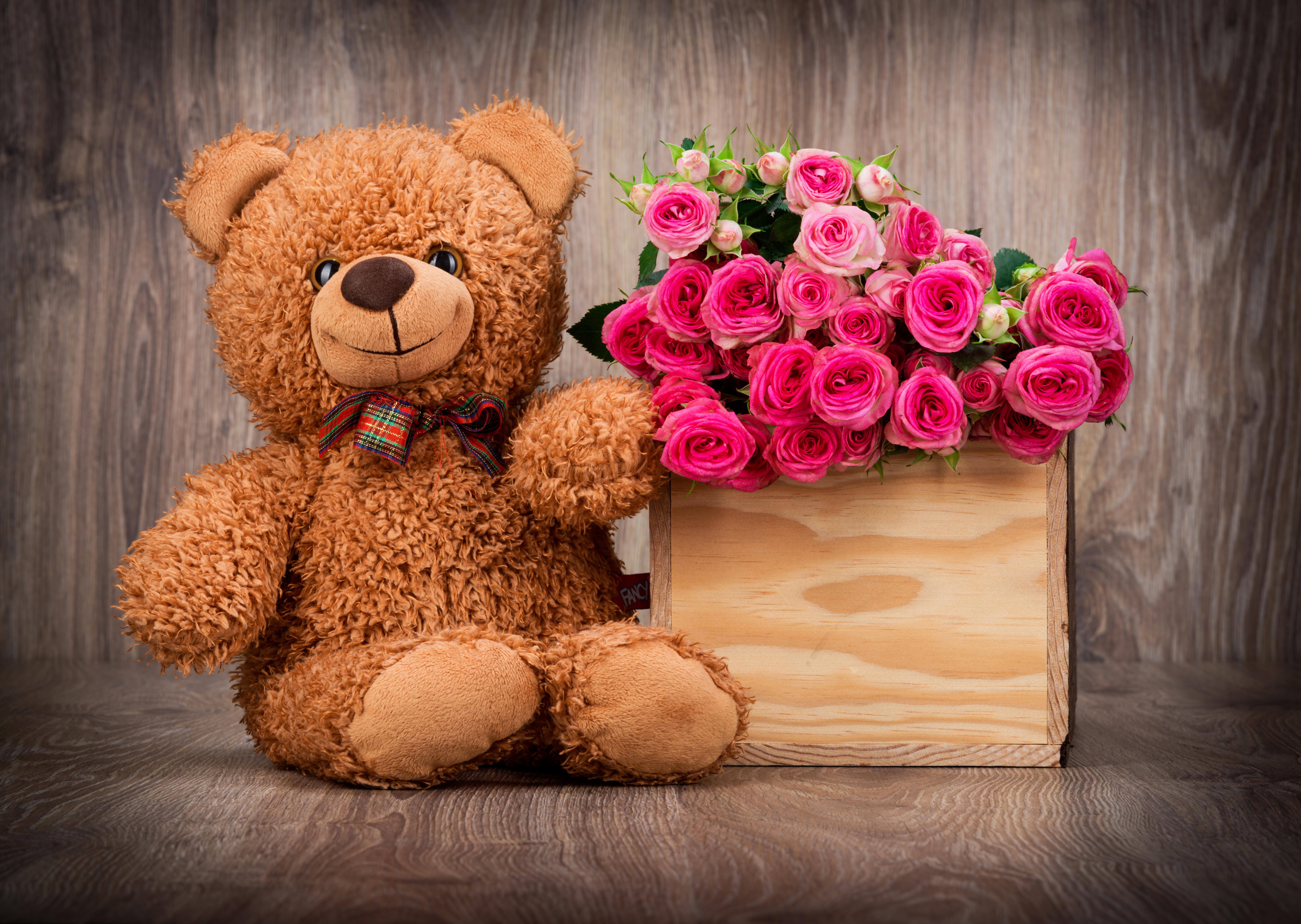 Wallpapers teddy bear flowers roses on the desktop
