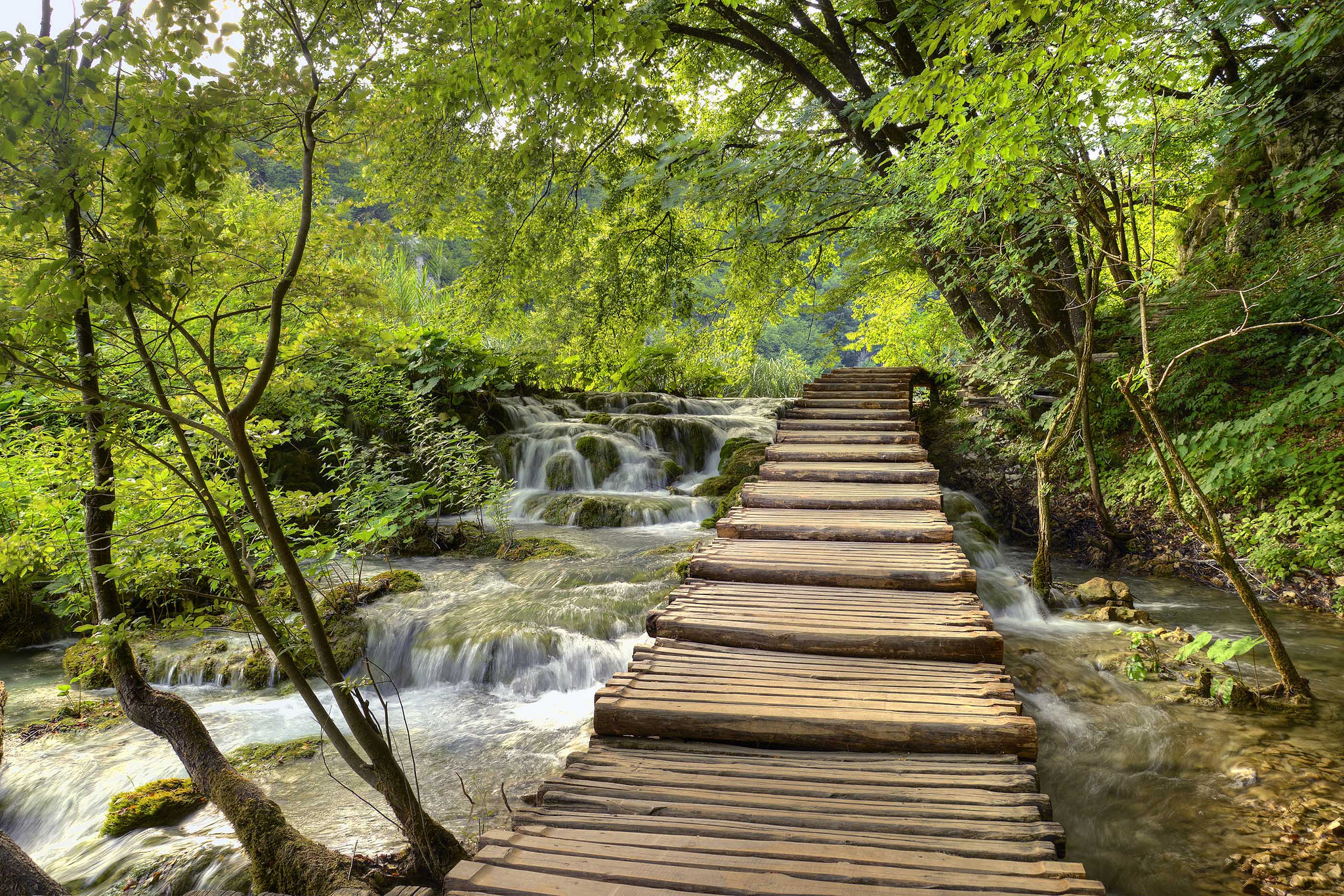 Wallpapers Plitvice Lakes National Park river bridge on the desktop