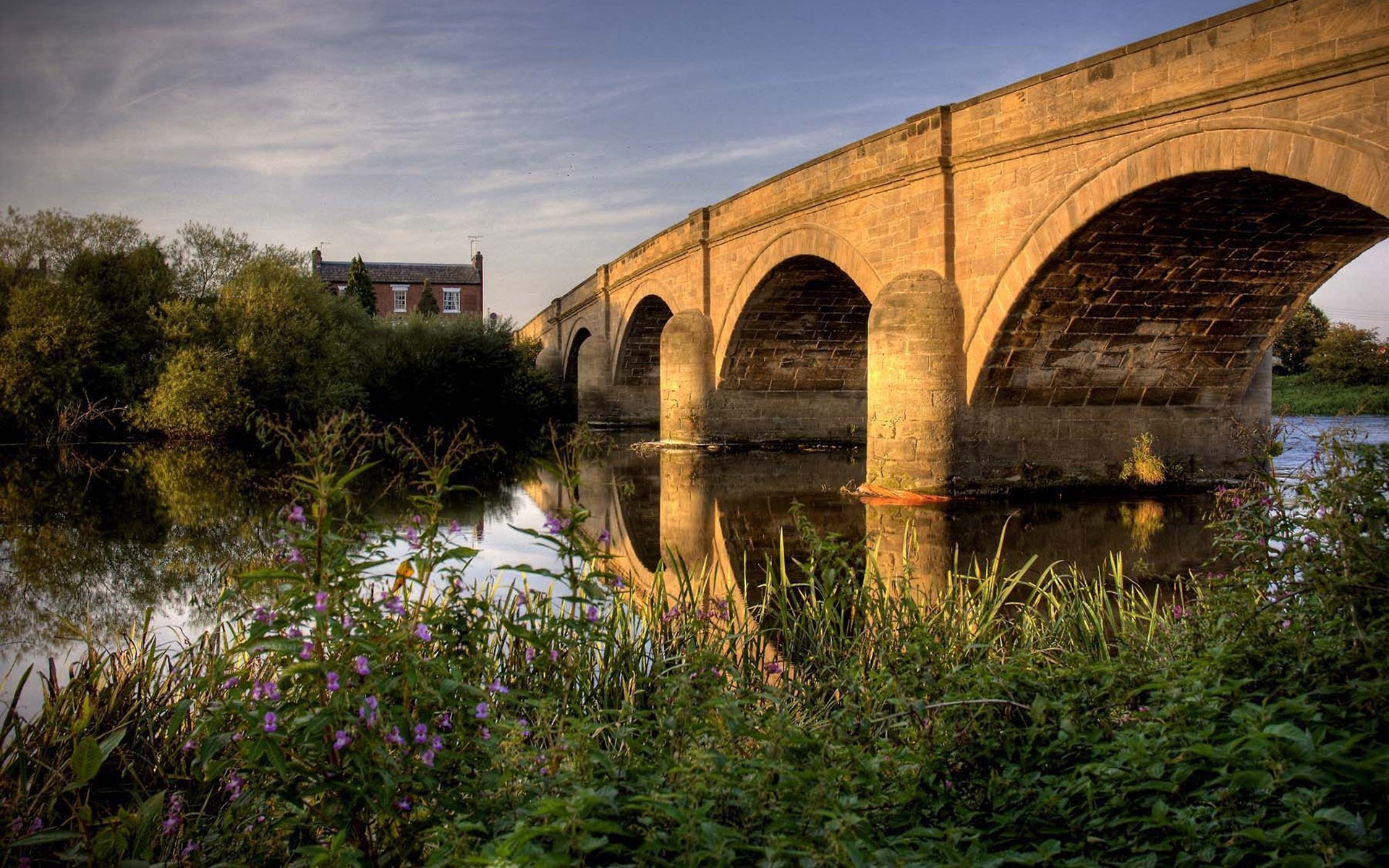 Wallpapers bridge river grass on the desktop