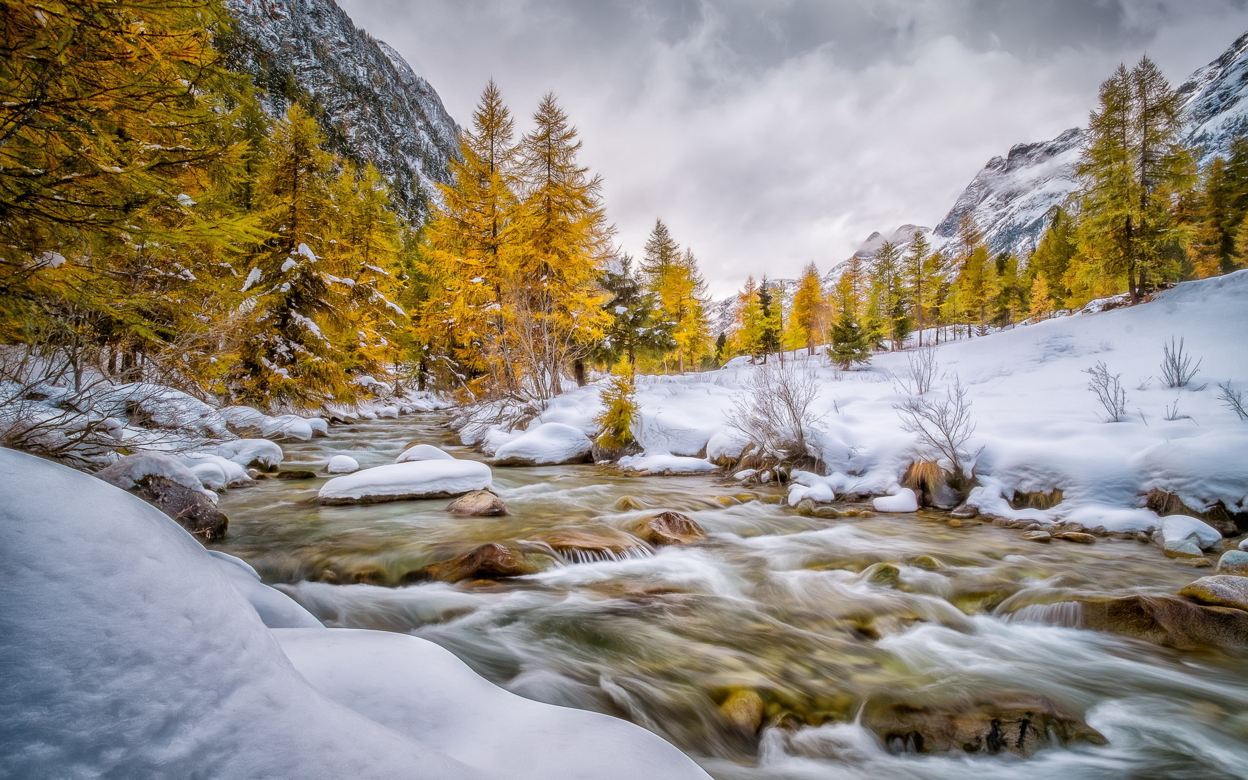 Wallpapers trees stones water on the desktop