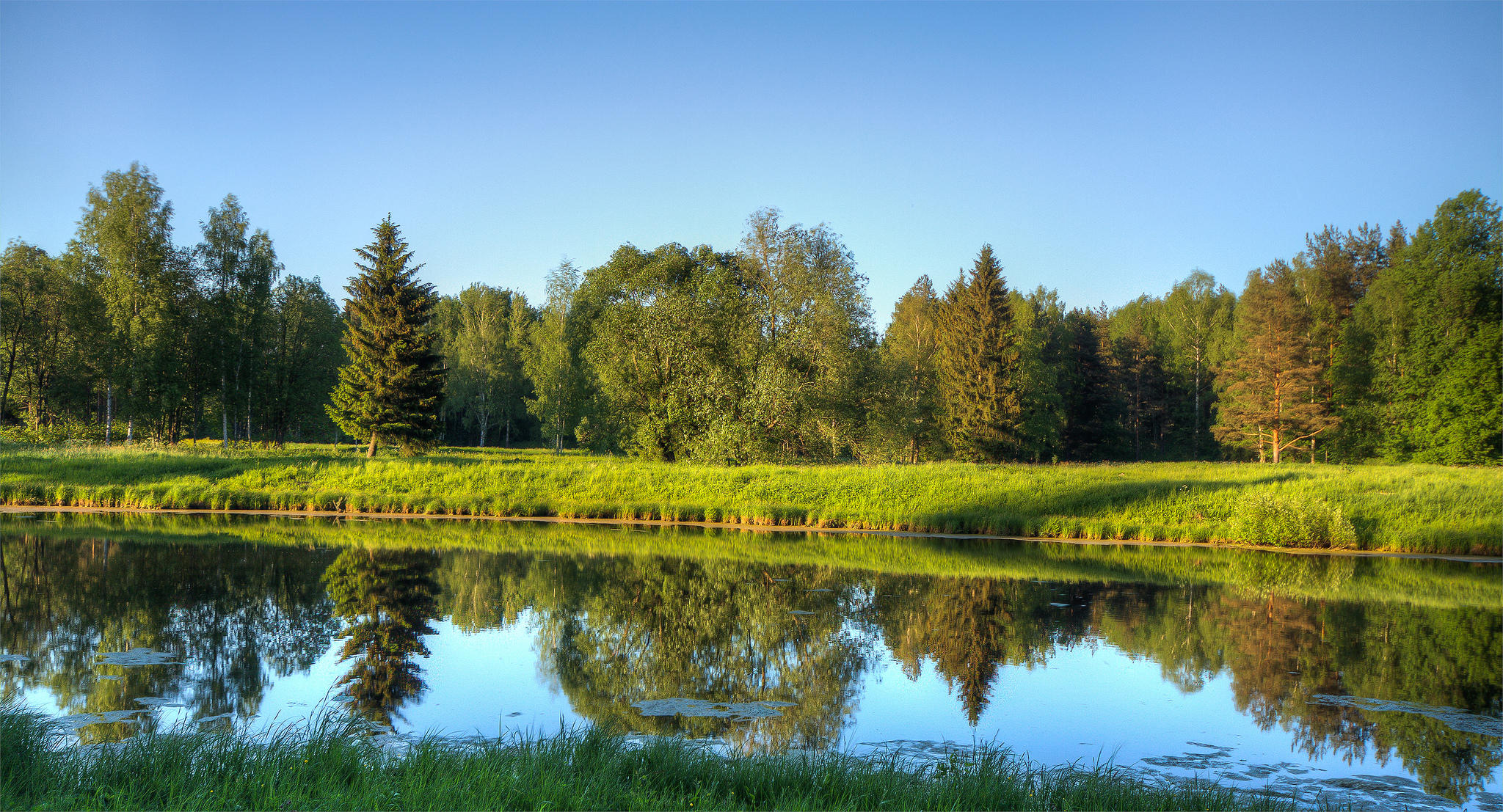 Wallpapers Pavlovsk park near St Petersburg river forest on the desktop