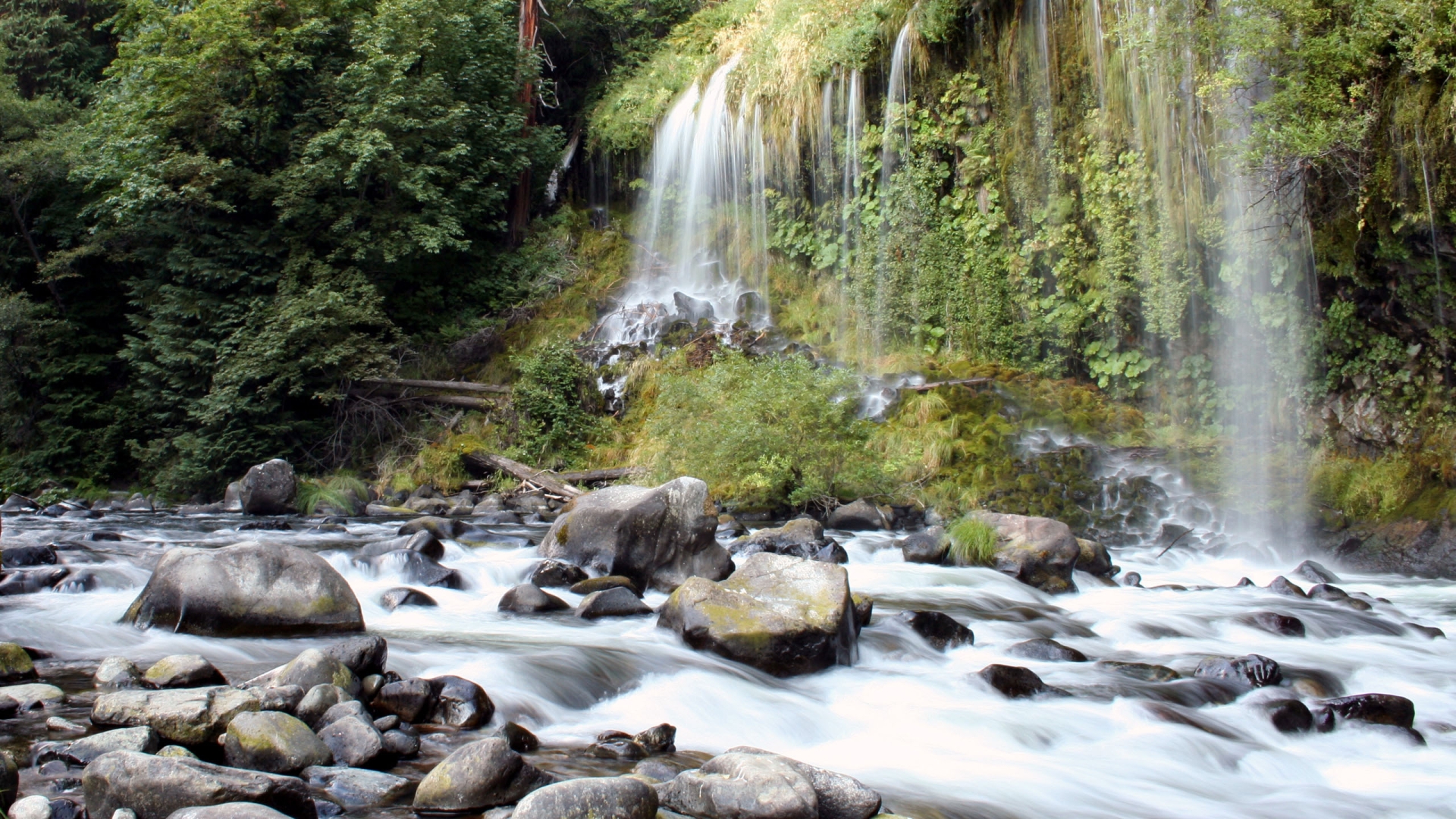 Wallpapers waterfall river forest on the desktop