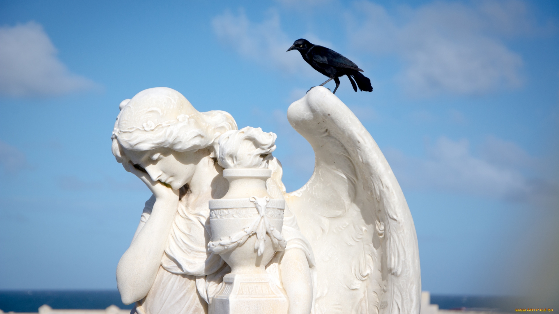 Wallpapers sky clouds crow on the desktop