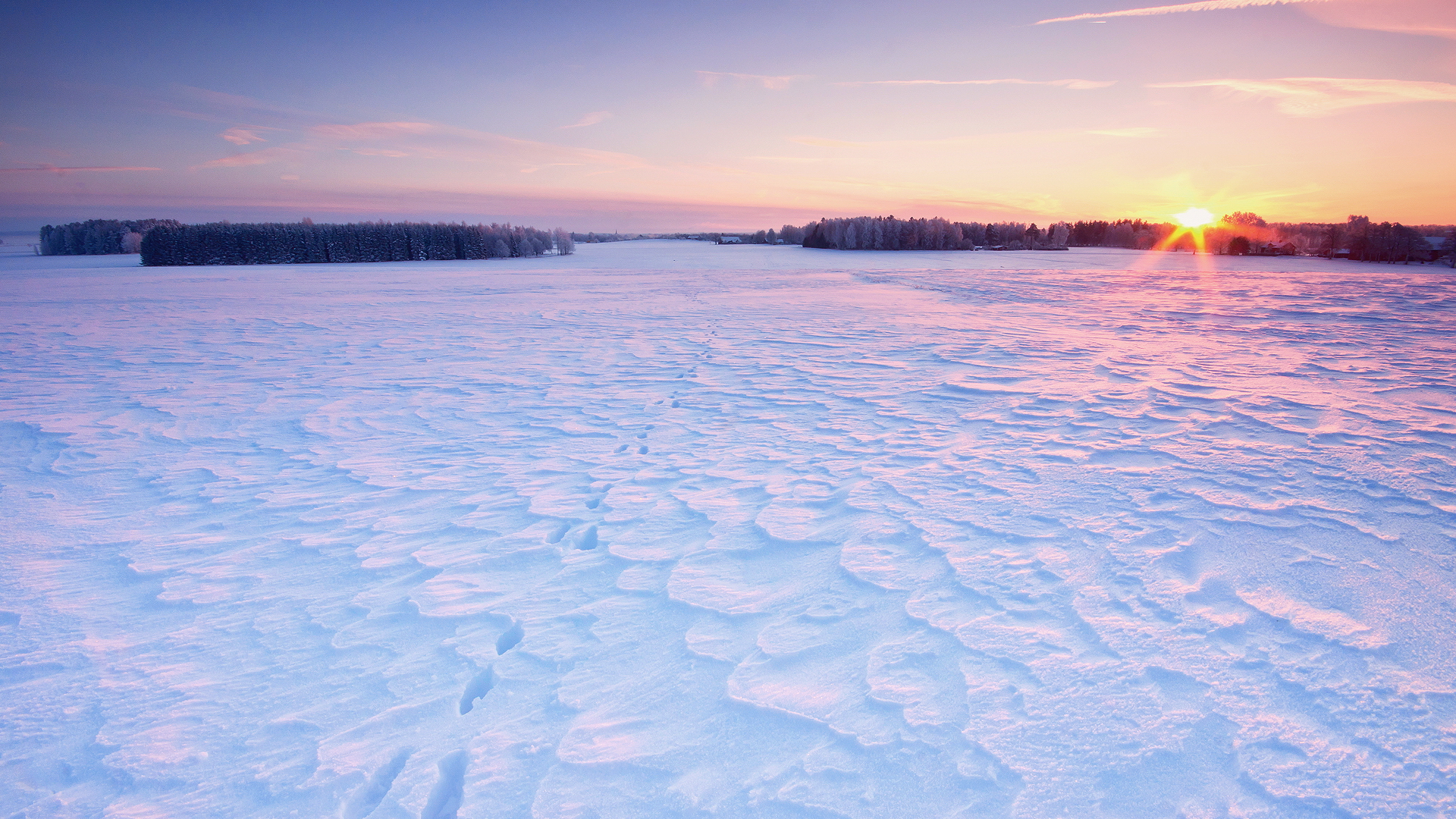 Wallpapers sun trees snowdrifts on the desktop