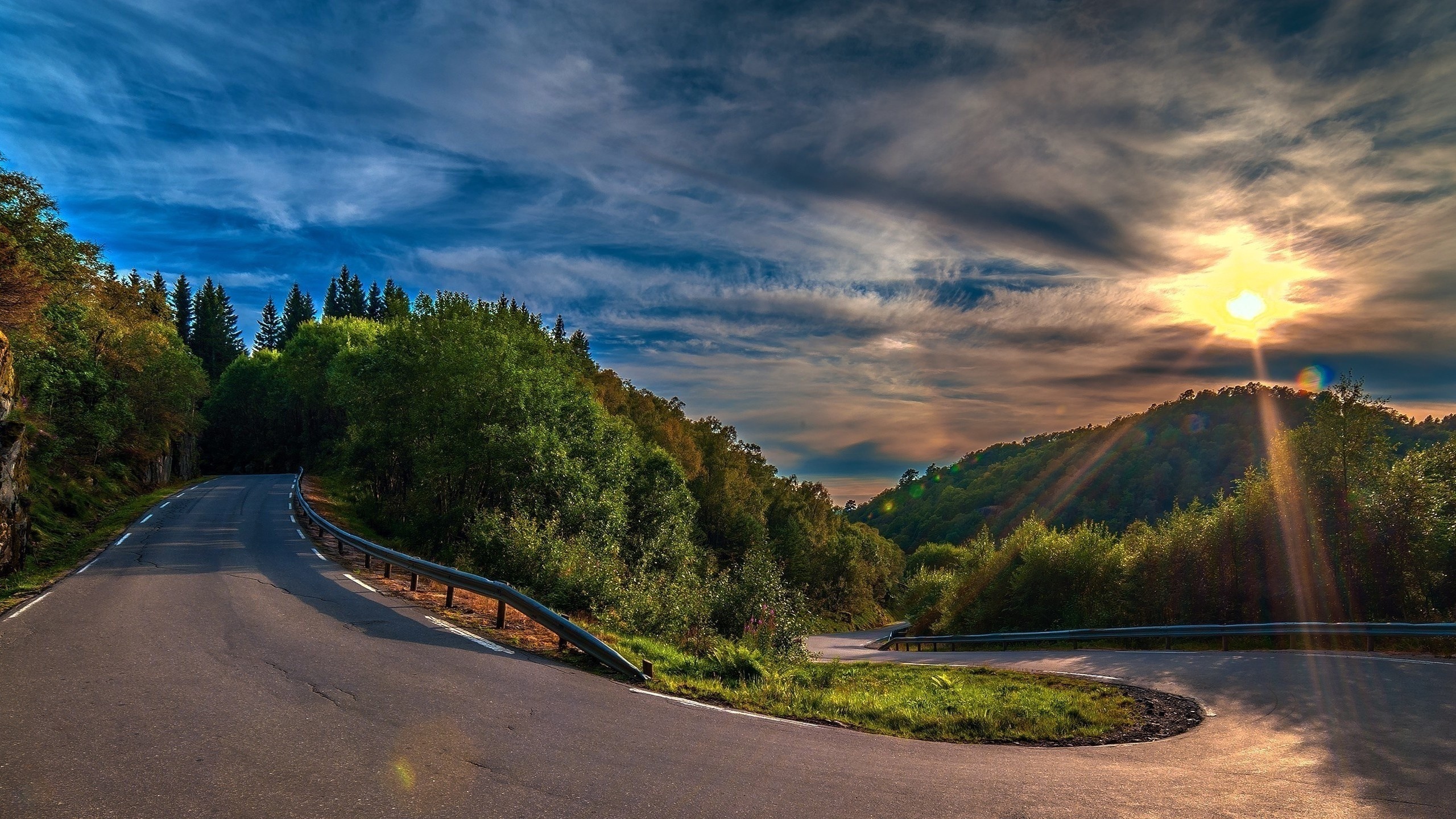 Wallpapers road track forest on the desktop