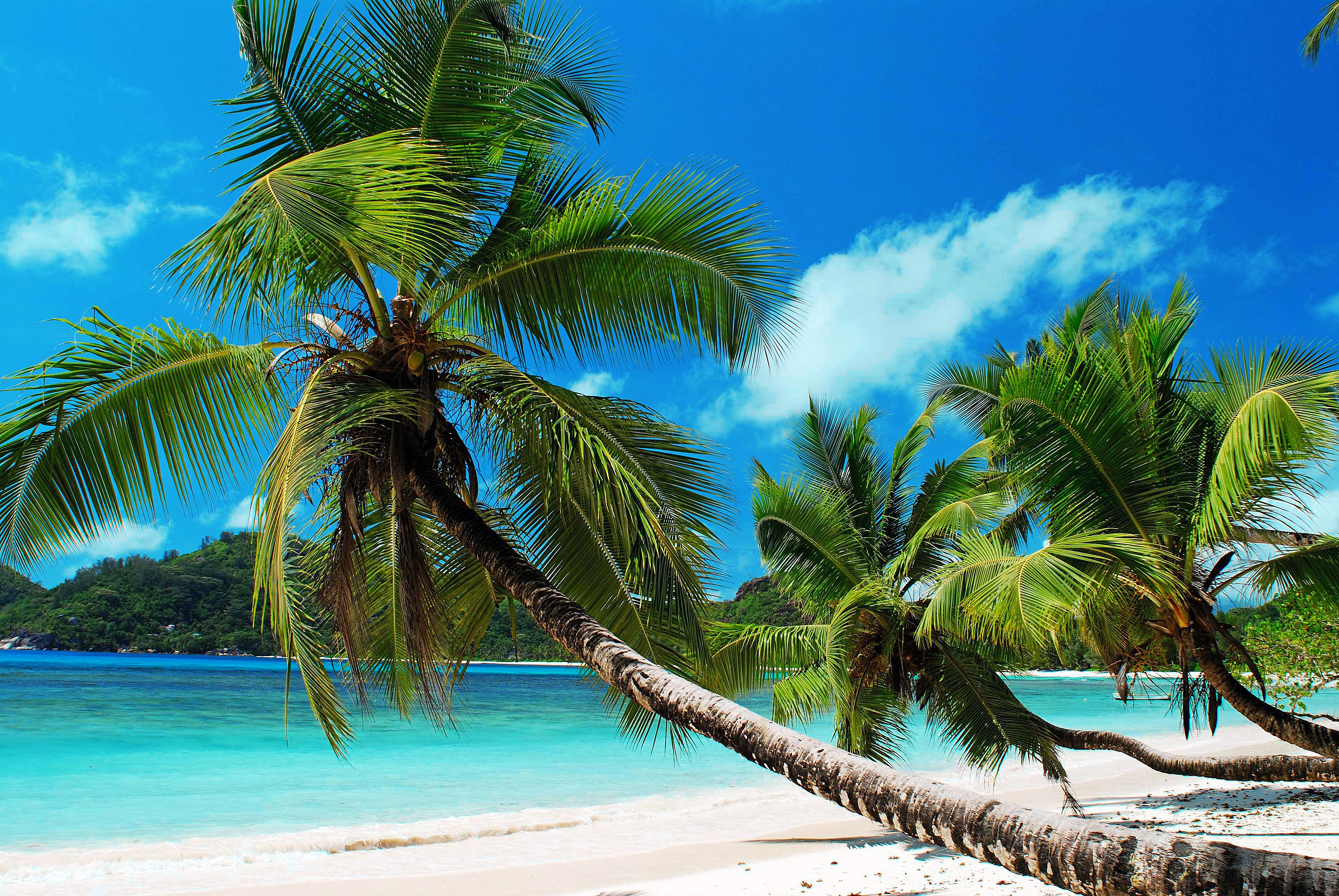 Wallpapers tropics landscapes blue water on the desktop