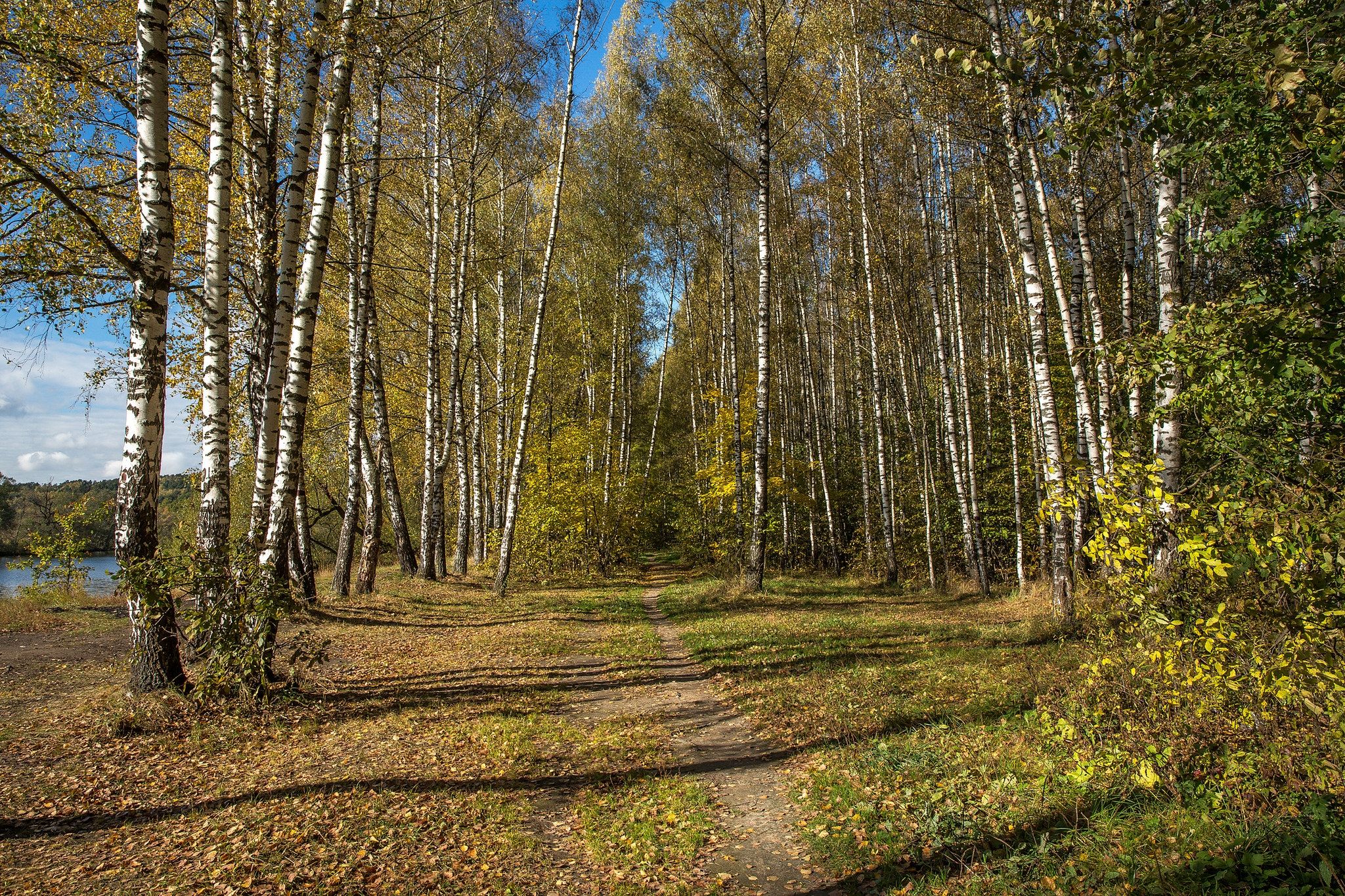 Wallpapers landscape Russia Arkhangelsk on the desktop