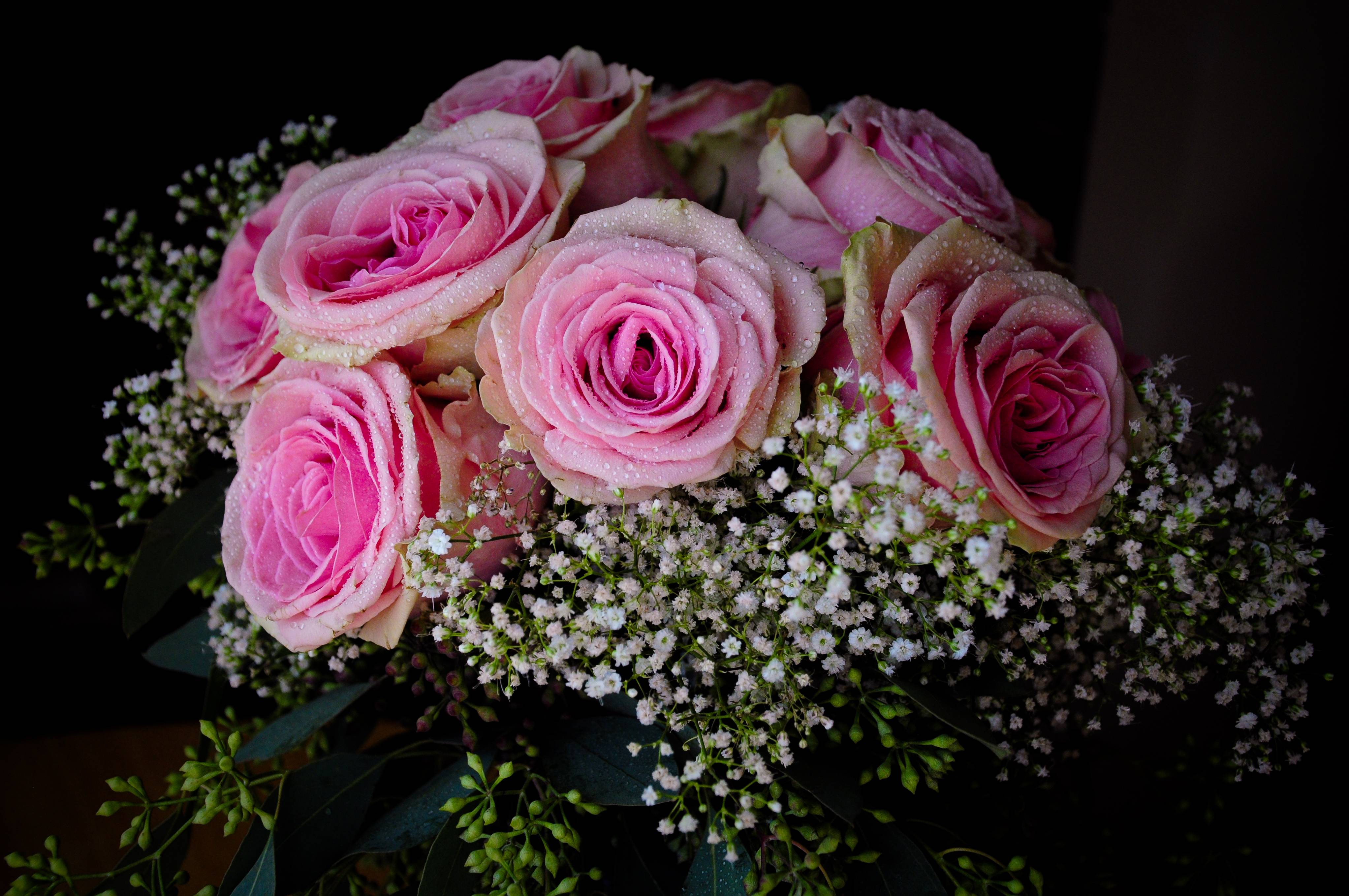 Обои розовый букет цветок флора на рабочий стол