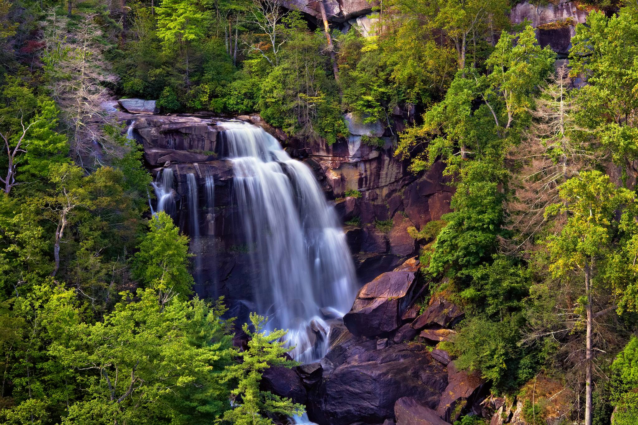 Wallpapers waterfall in the forest trees north carolina on the desktop