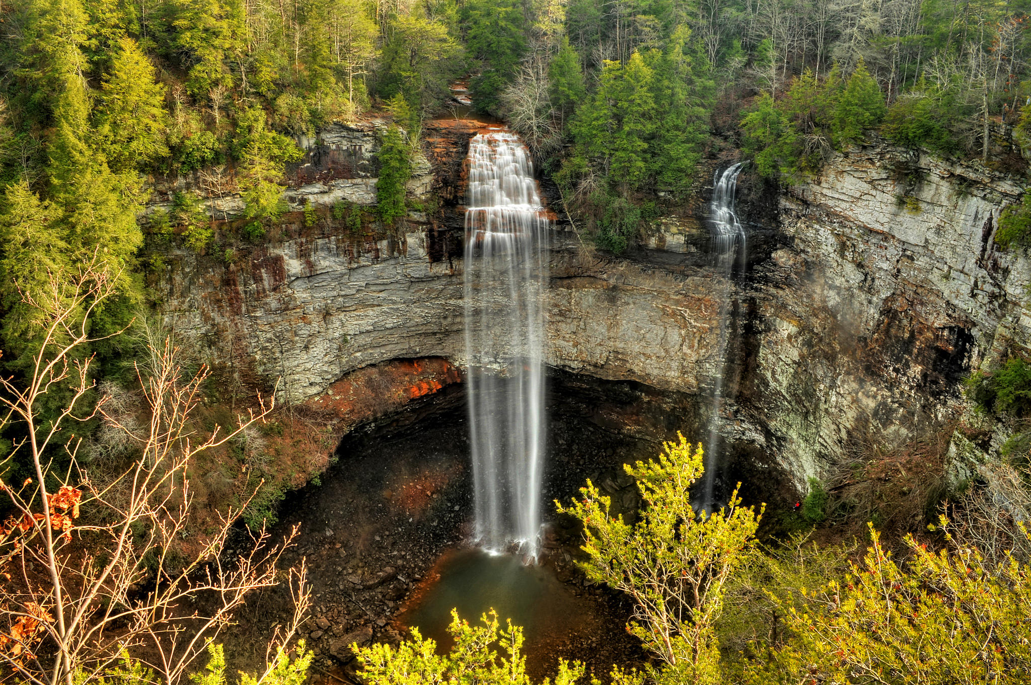 Обои Falls Creek Falls State Park деревья пейзаж на рабочий стол