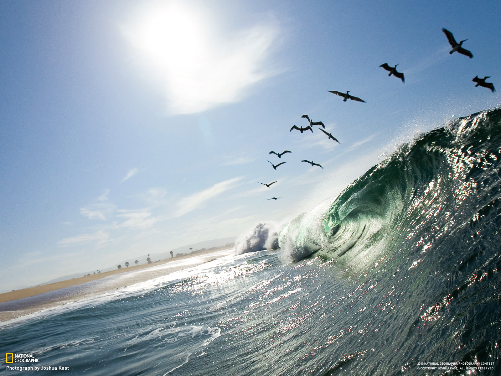 Wallpapers wave ocean gulls on the desktop