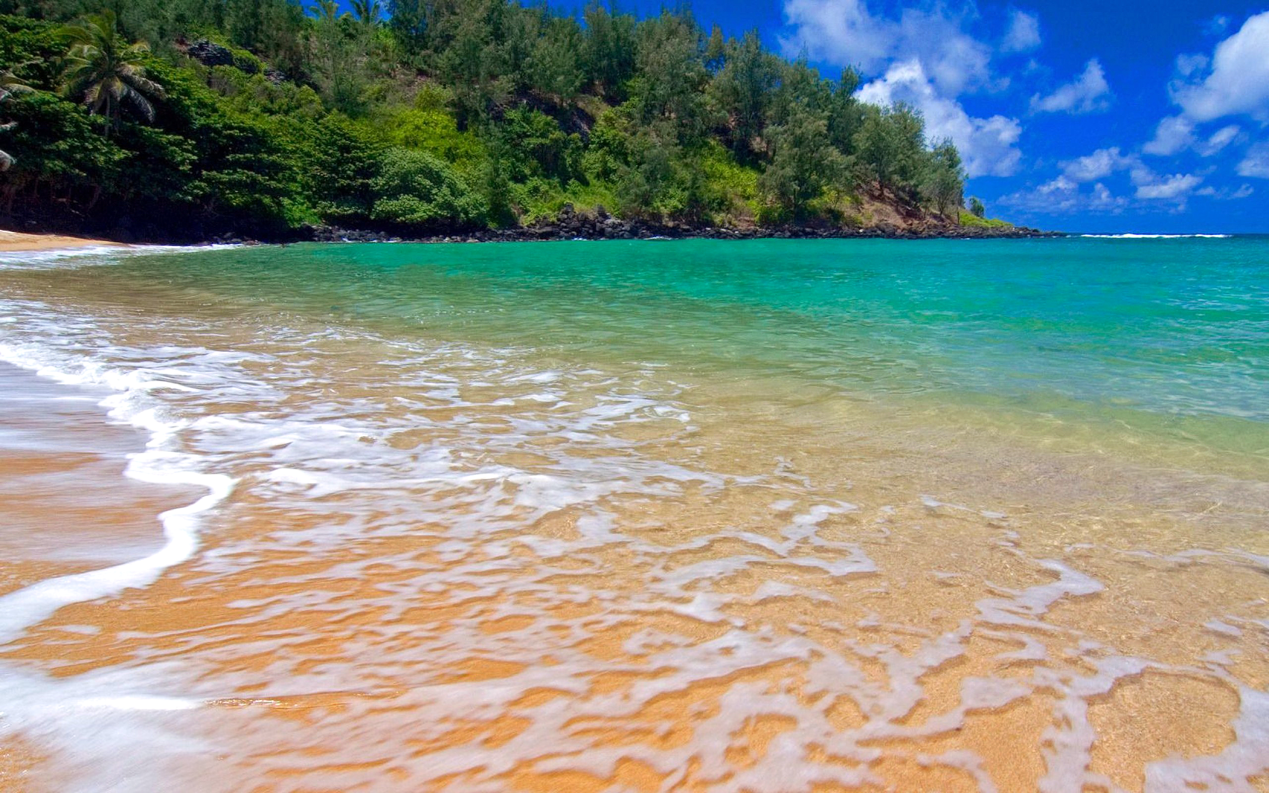 Wallpapers clear water tropics sand beach on the desktop