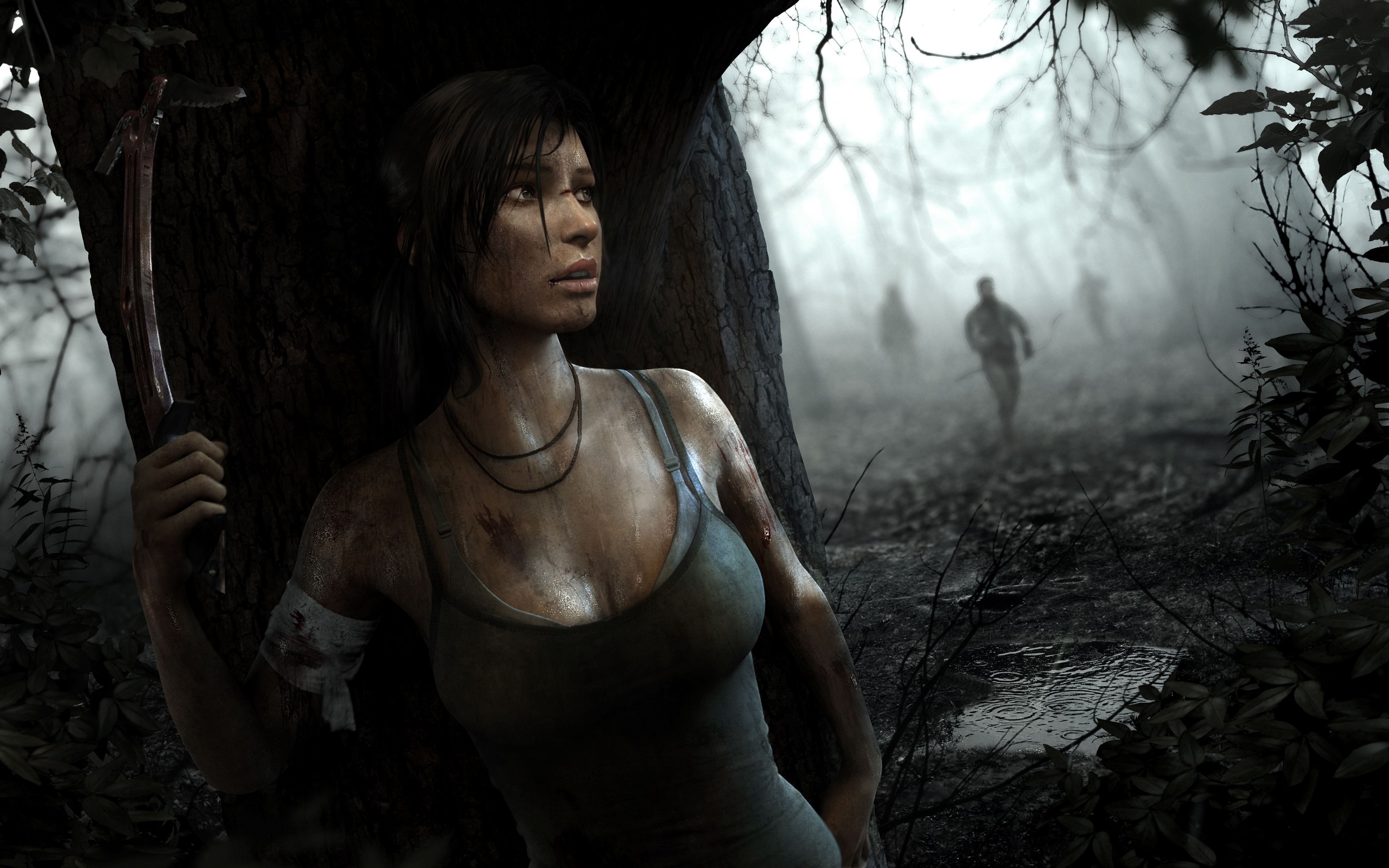 Wallpapers tomb raider lara croft ice ax on the desktop