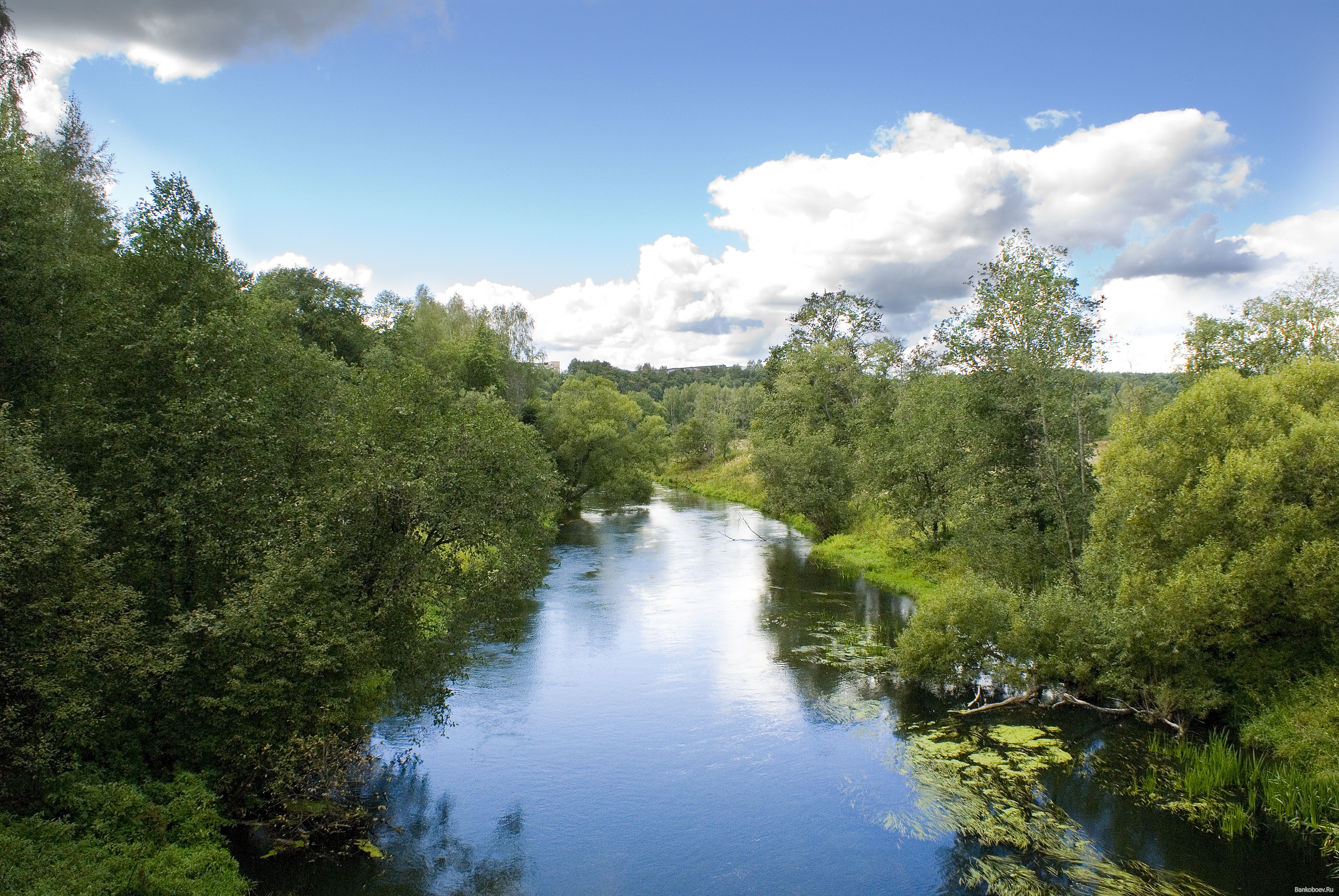 Wallpapers river stream trees on the desktop