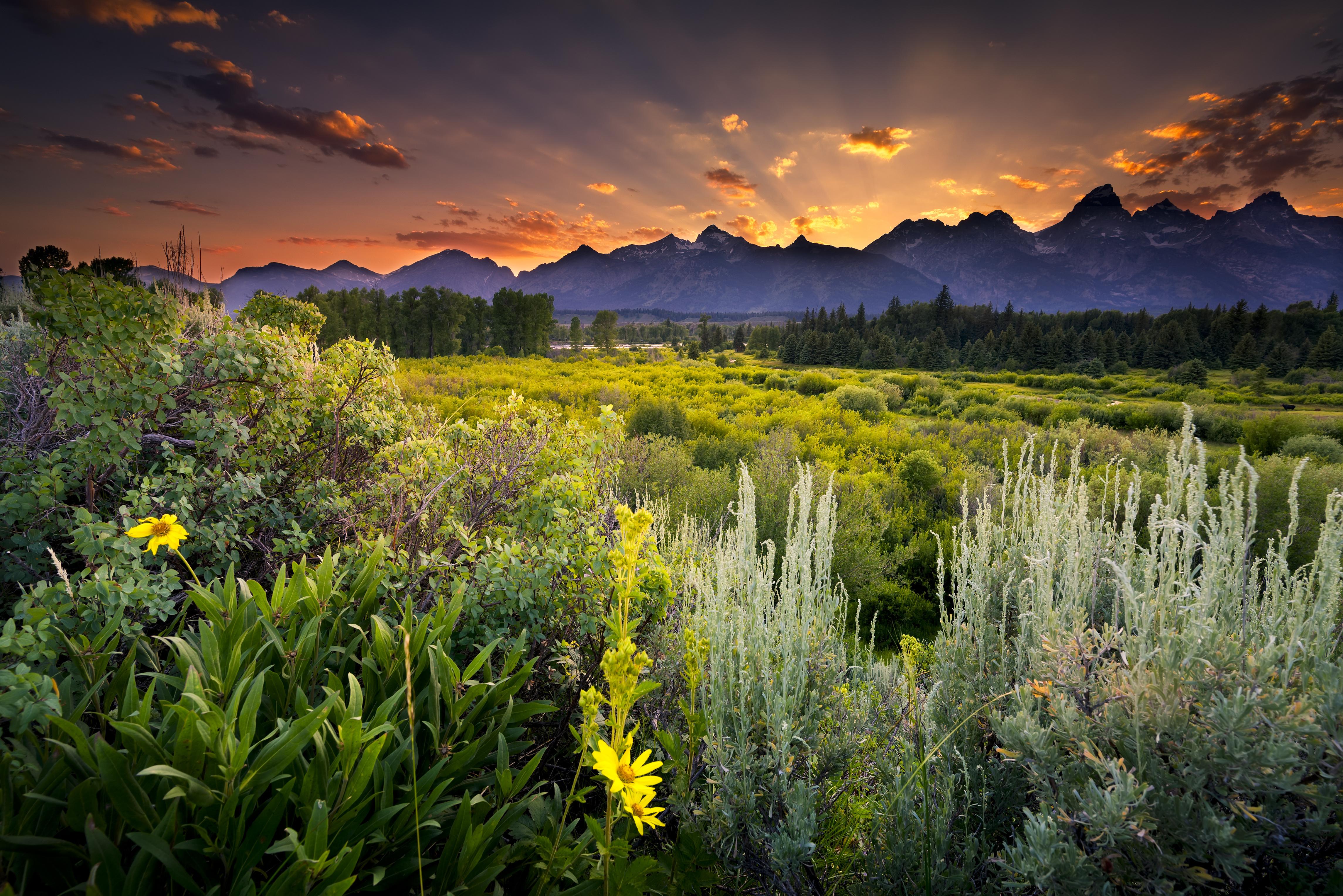 Wallpapers USA Grand Teton National Park snake river on the desktop