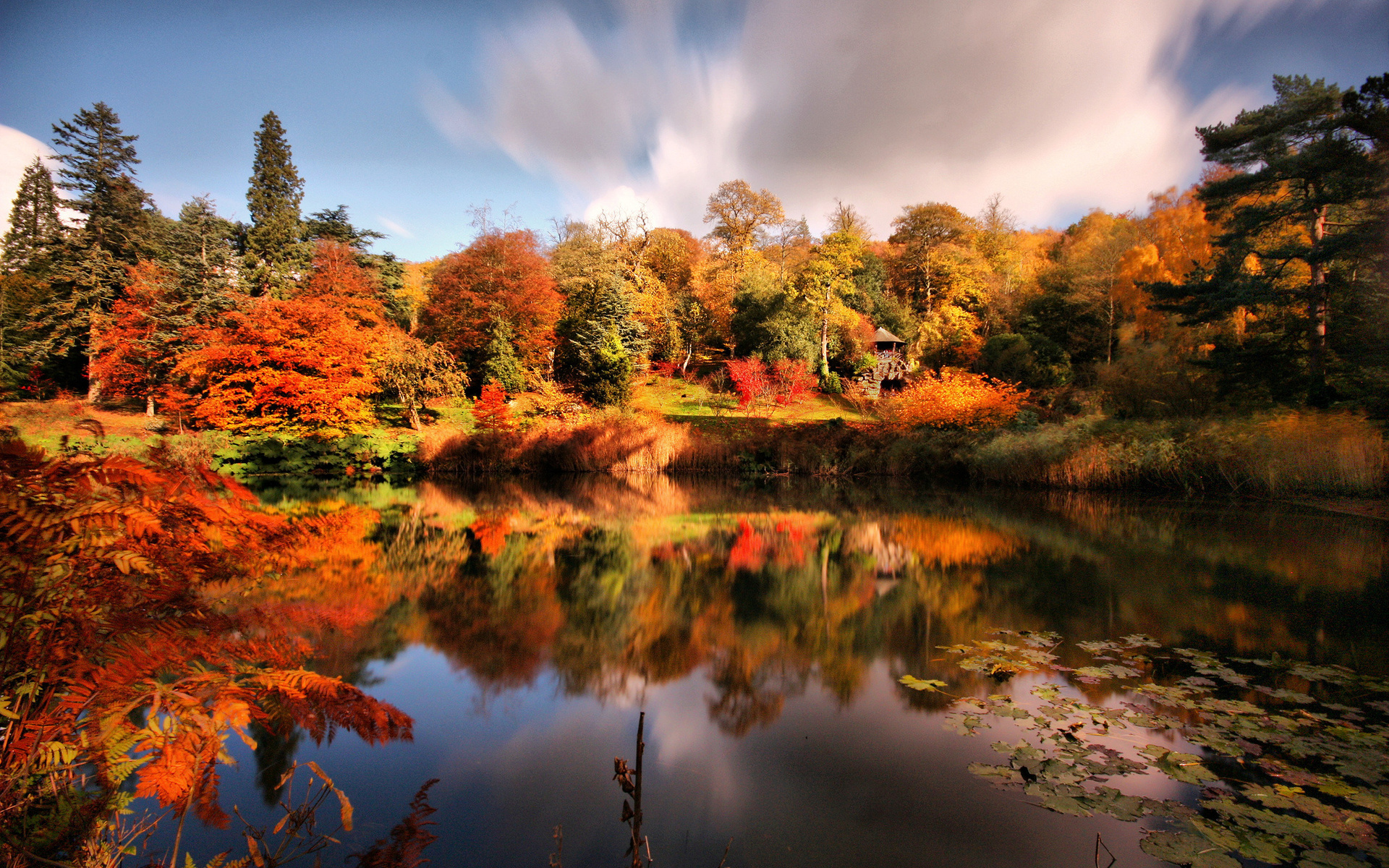 Wallpapers lake trees leaves on the desktop