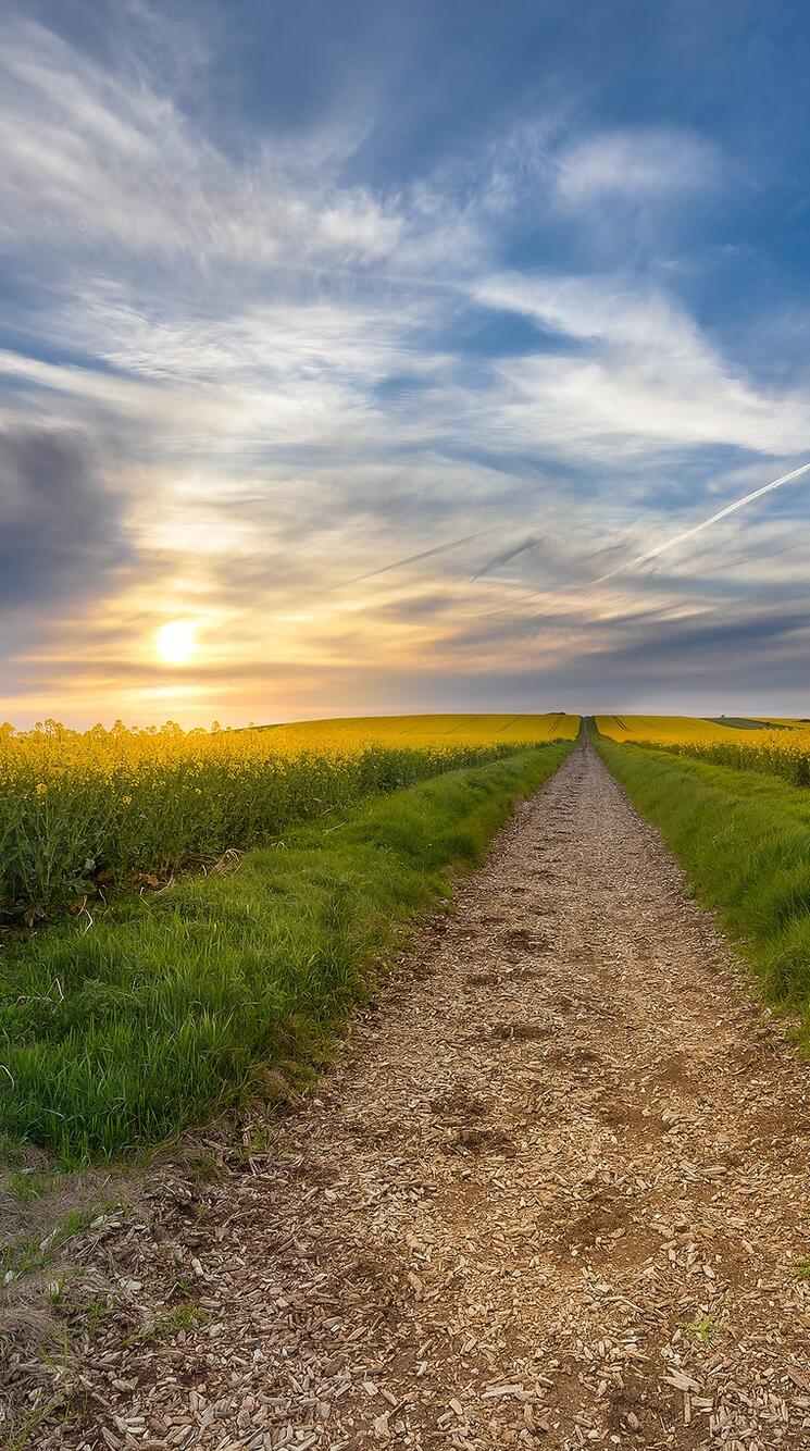Дорога в зеленом поле - сбор пазла Пейзажи, Абстрактные фоны, Абстрактное