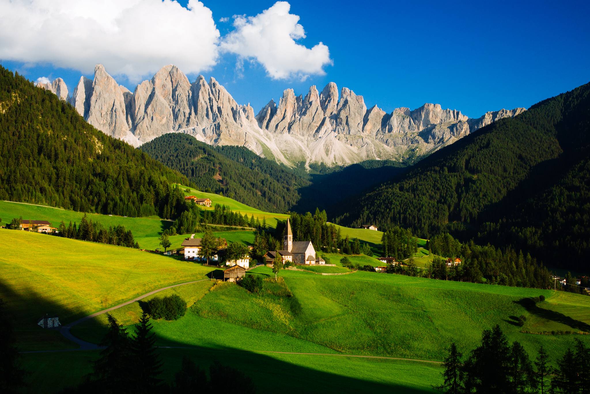 Wallpapers mountains trees fields on the desktop