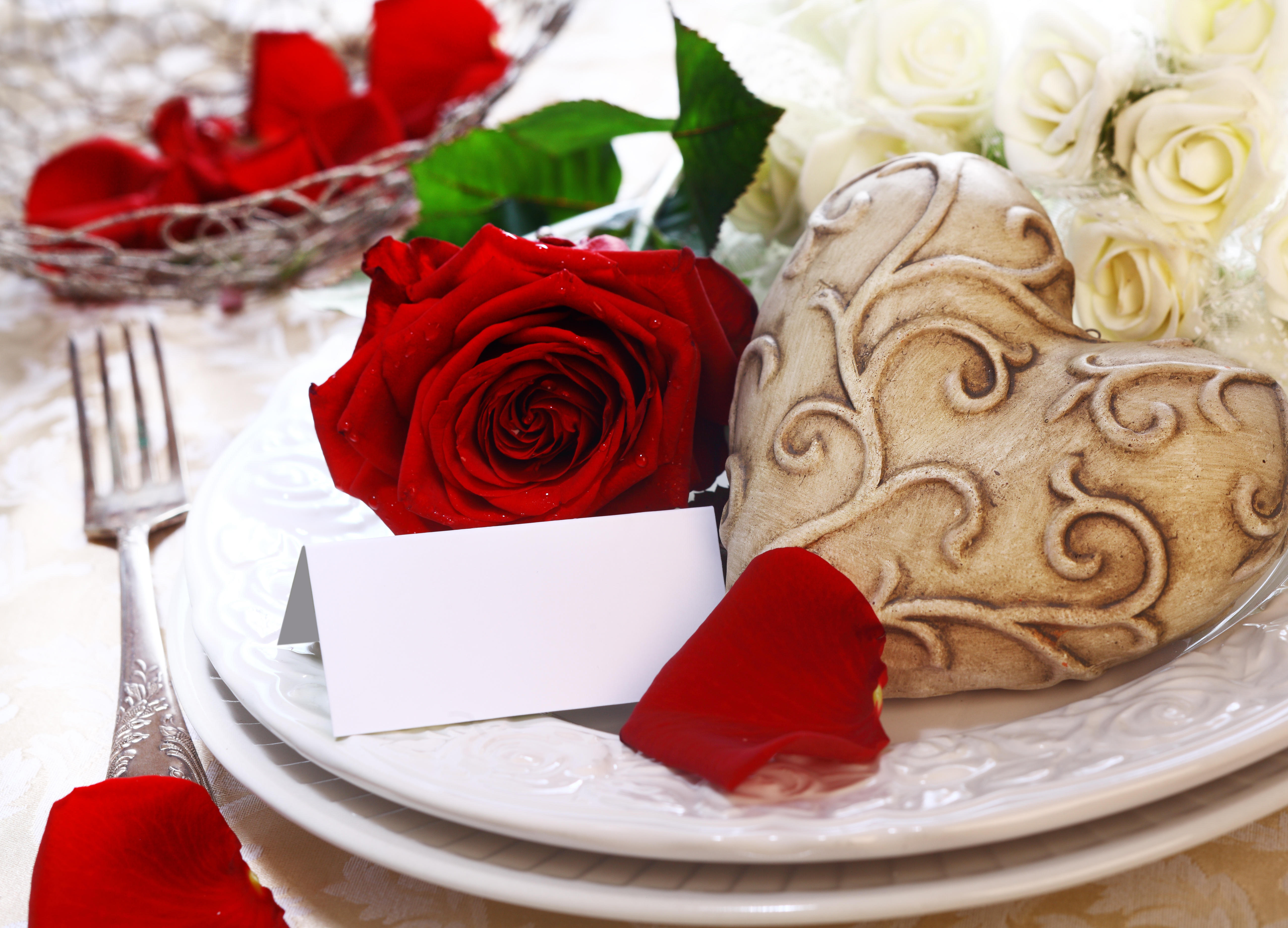 Free photo A red rose in a white plate.