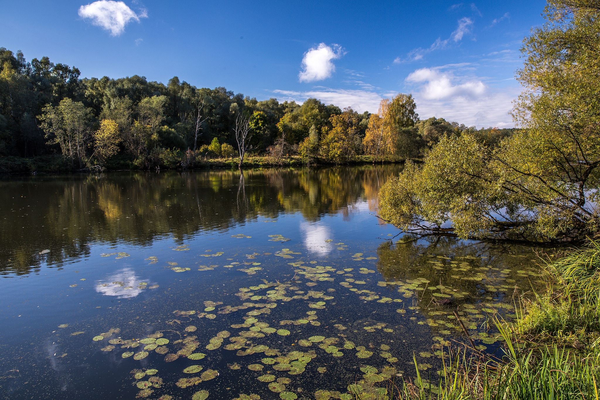 Wallpapers Russia landscape Krasnogorsk district on the desktop