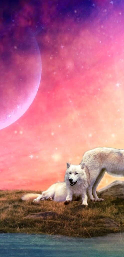 Обои волки 3d art на рабочий стол