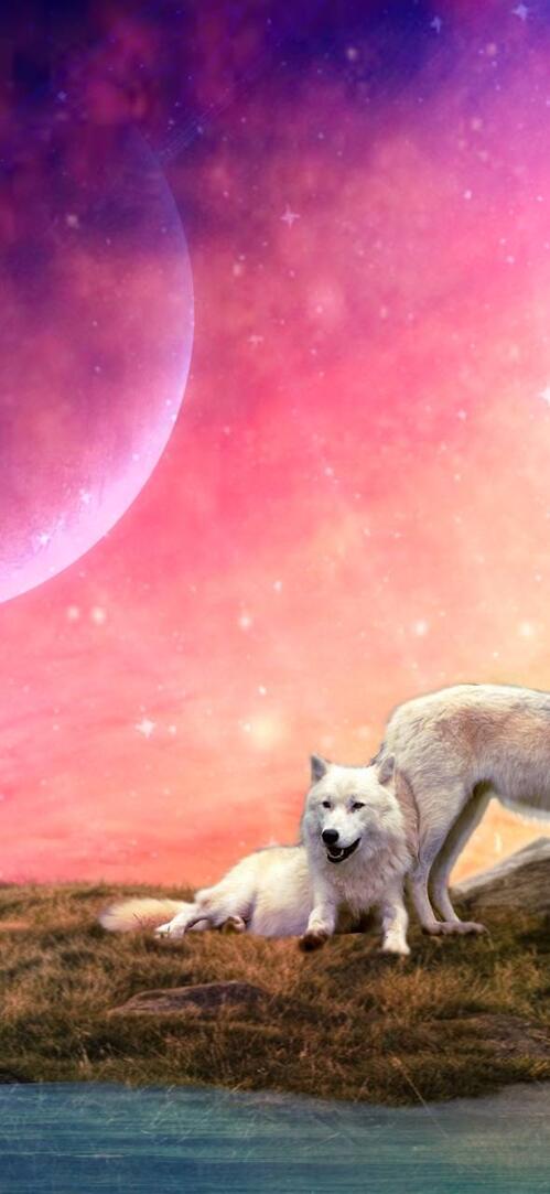 Обои волки 3d art на рабочий стол