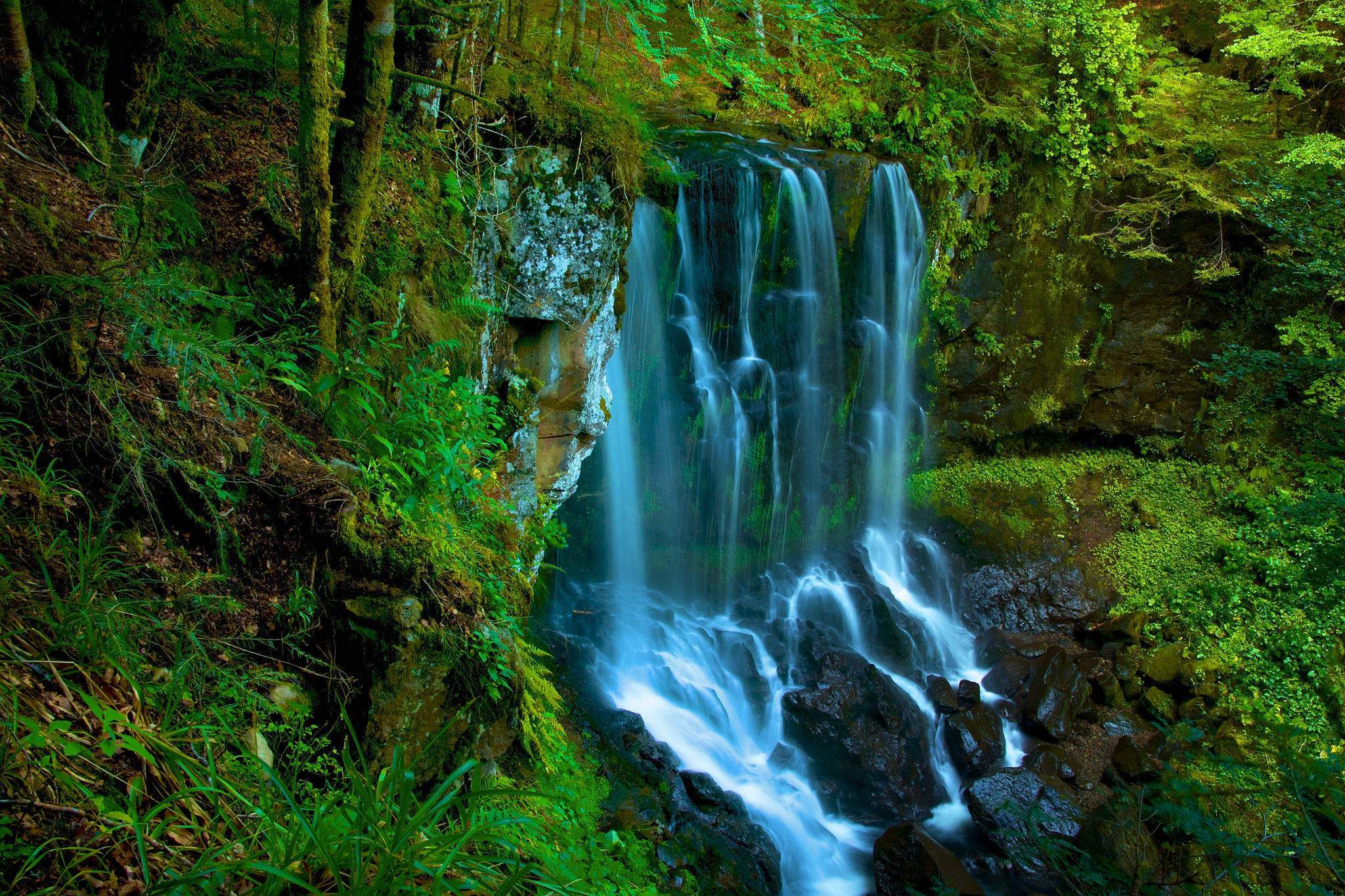 Wallpapers green moss rocks waterfall in the forest on the desktop