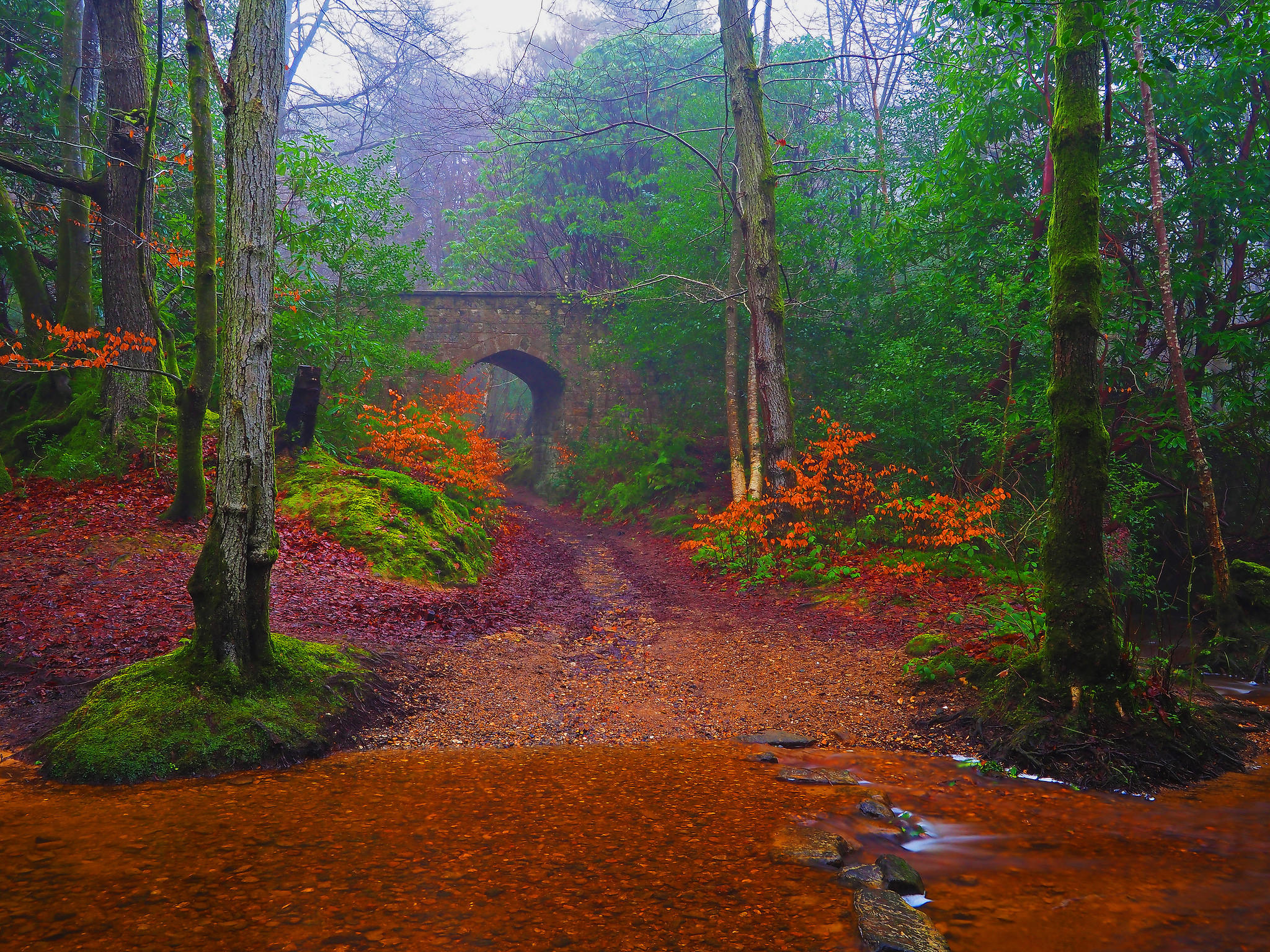 Wallpapers river autumn arch on the desktop