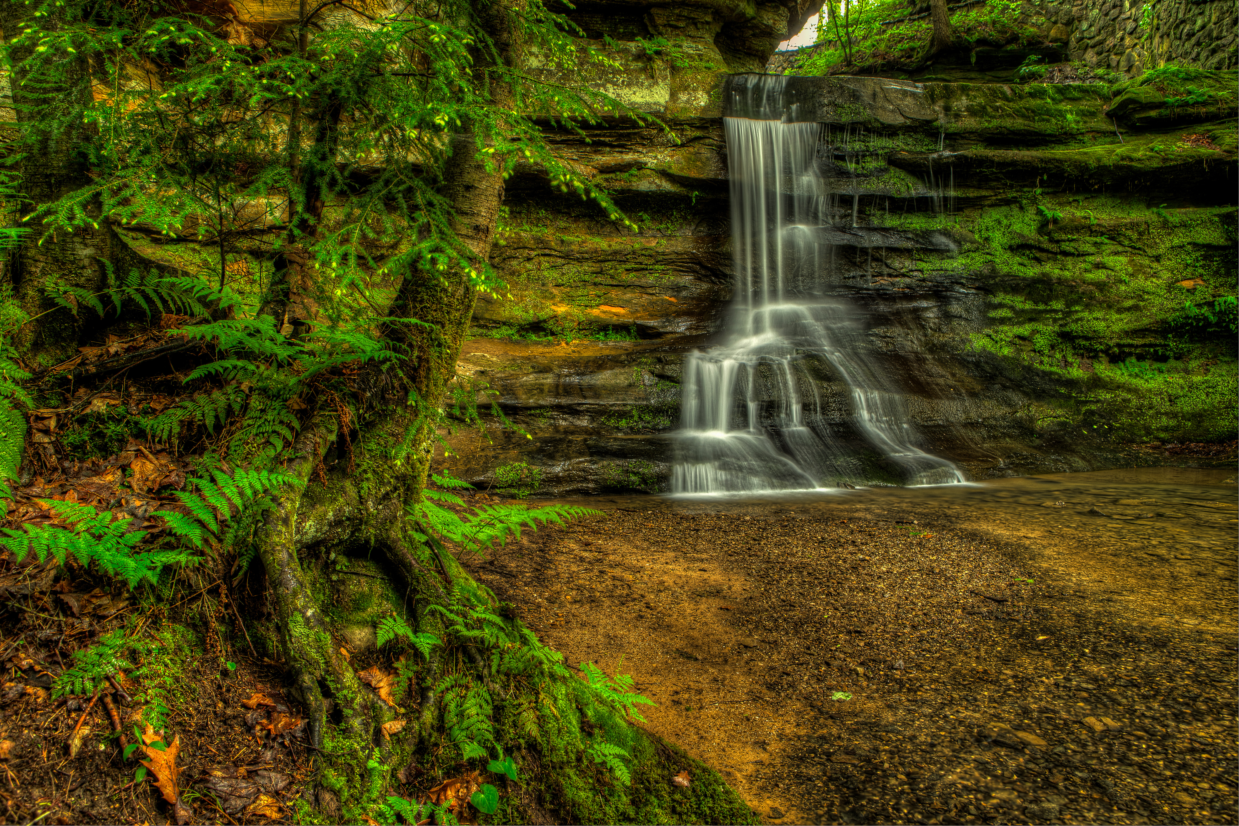 Обои Old Mans Cave Hocking Hills State Park Ohio на рабочий стол