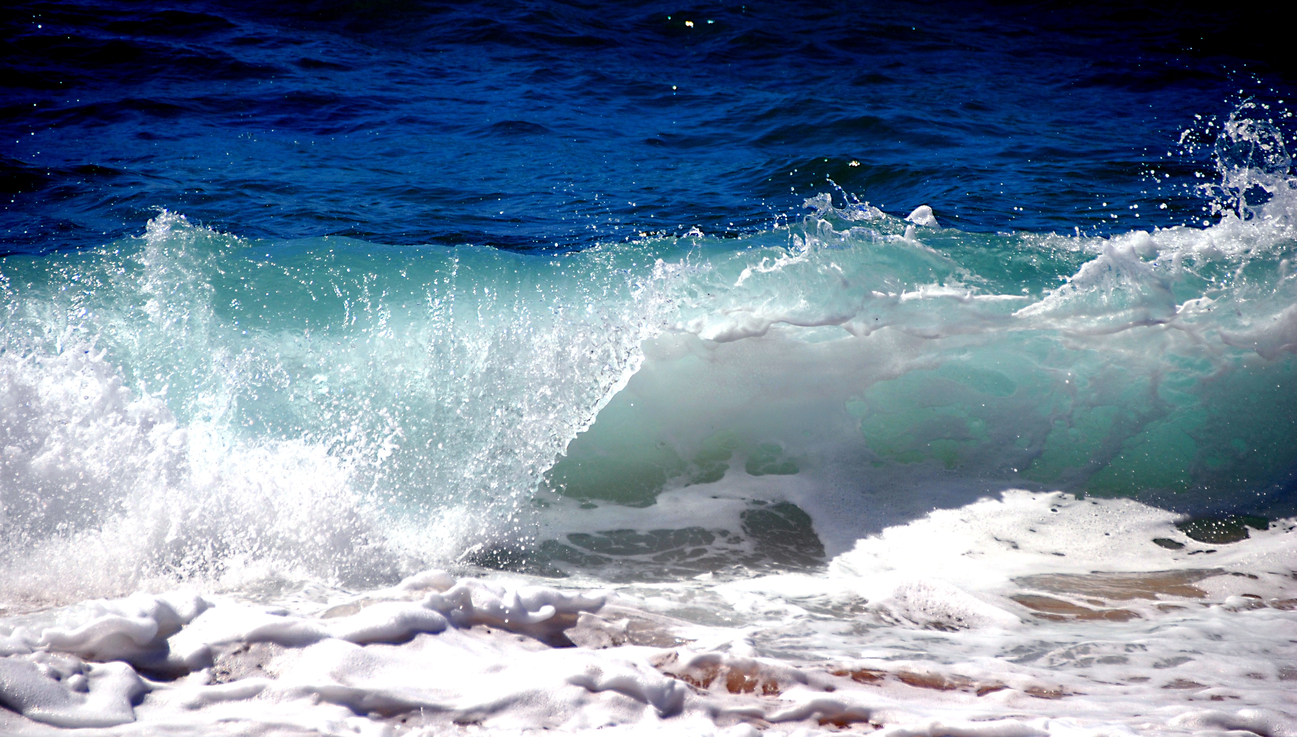 Free photo What a beautiful sea wave