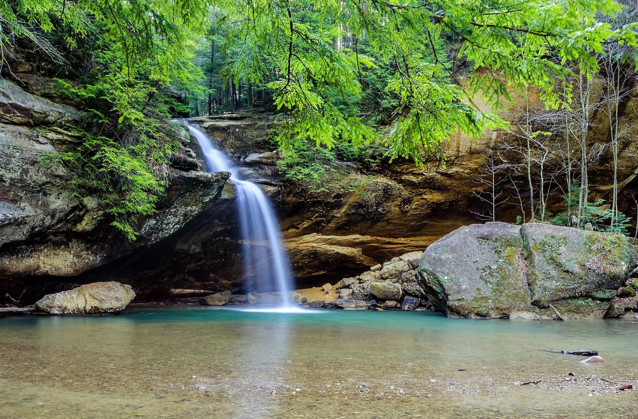 Wallpapers trees Hocking Hills State Park Ohio on the desktop