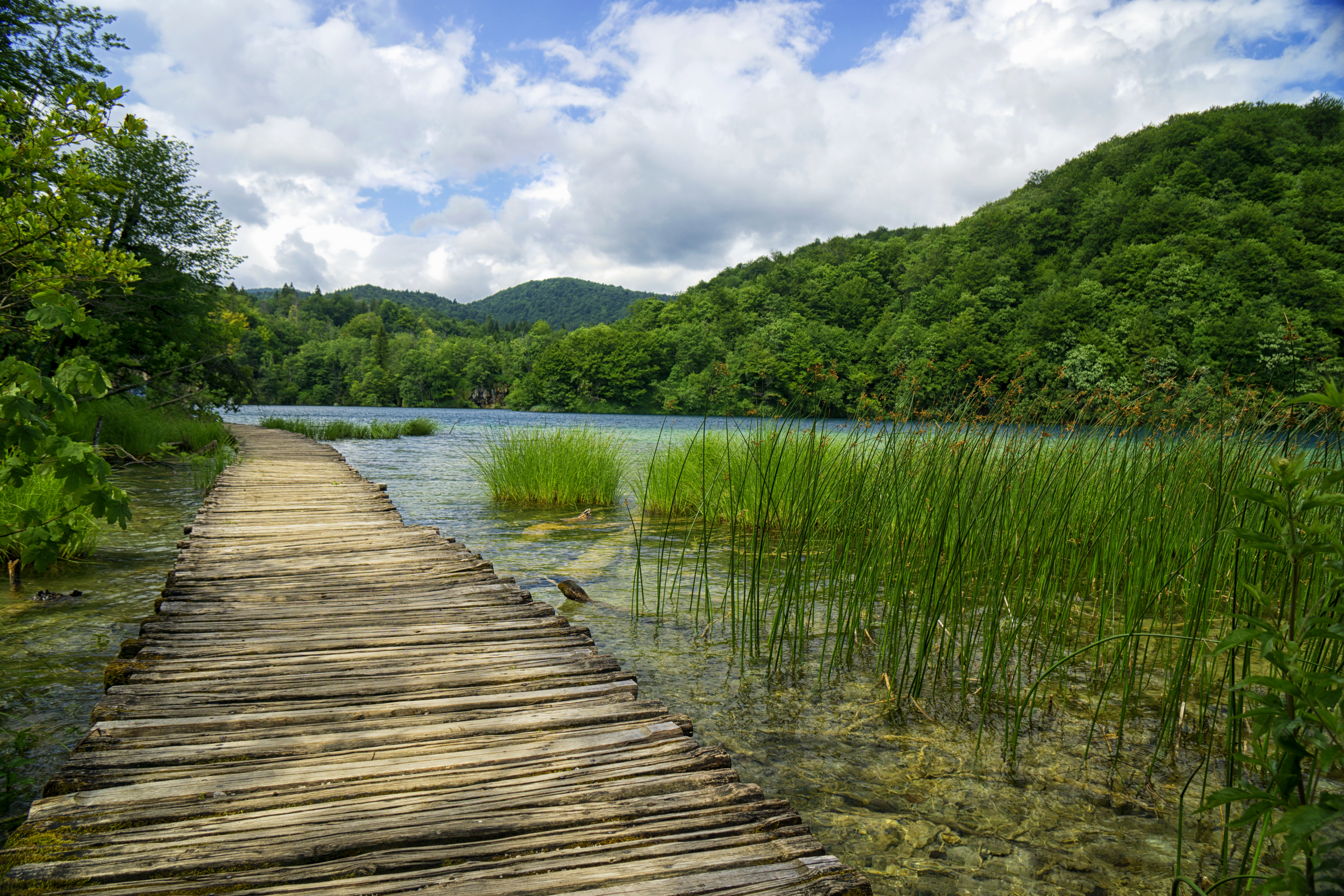 Wallpapers nature Plitvice lakes national park landscapes on the desktop