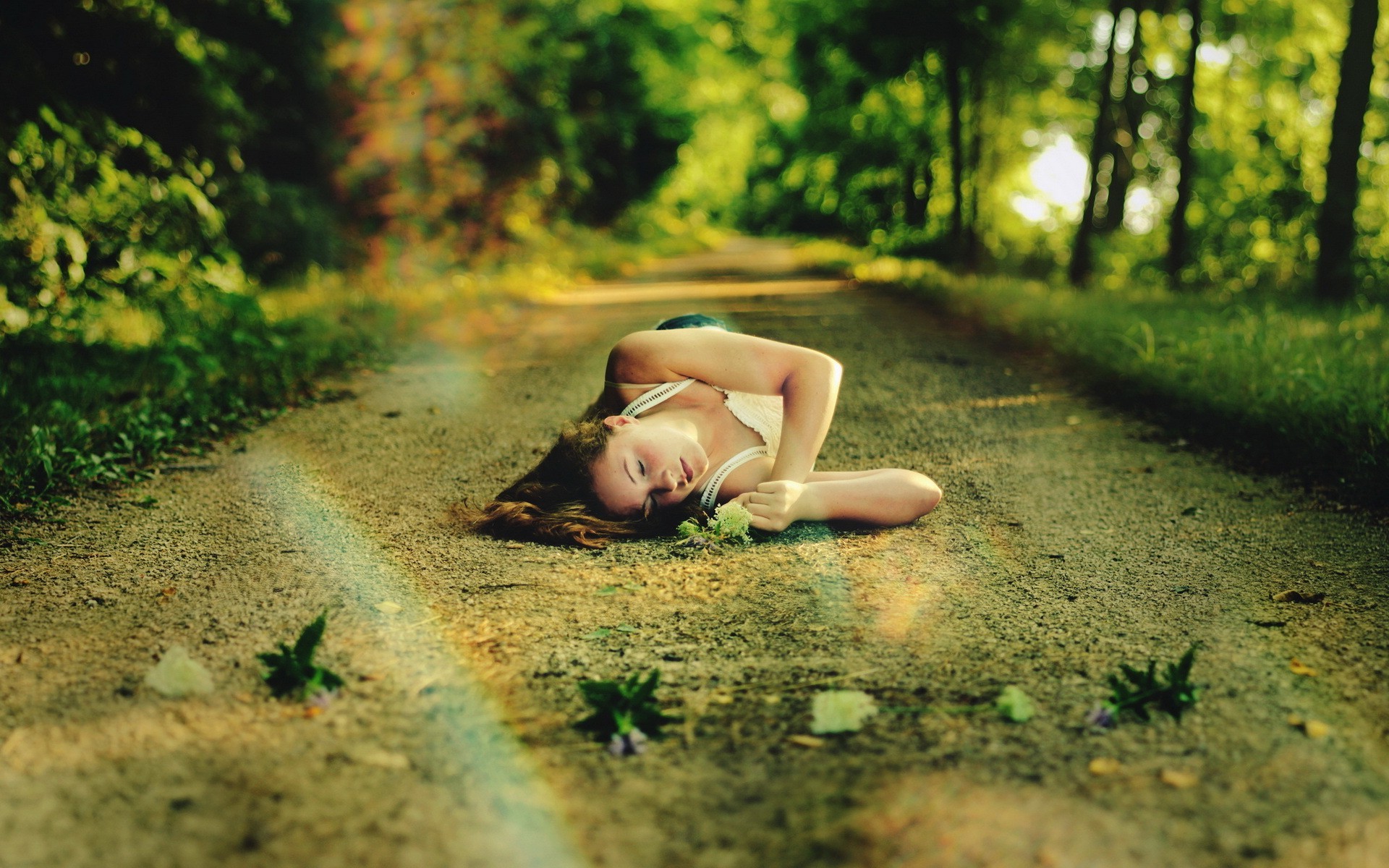 桌面上的壁纸日光 森林 女性