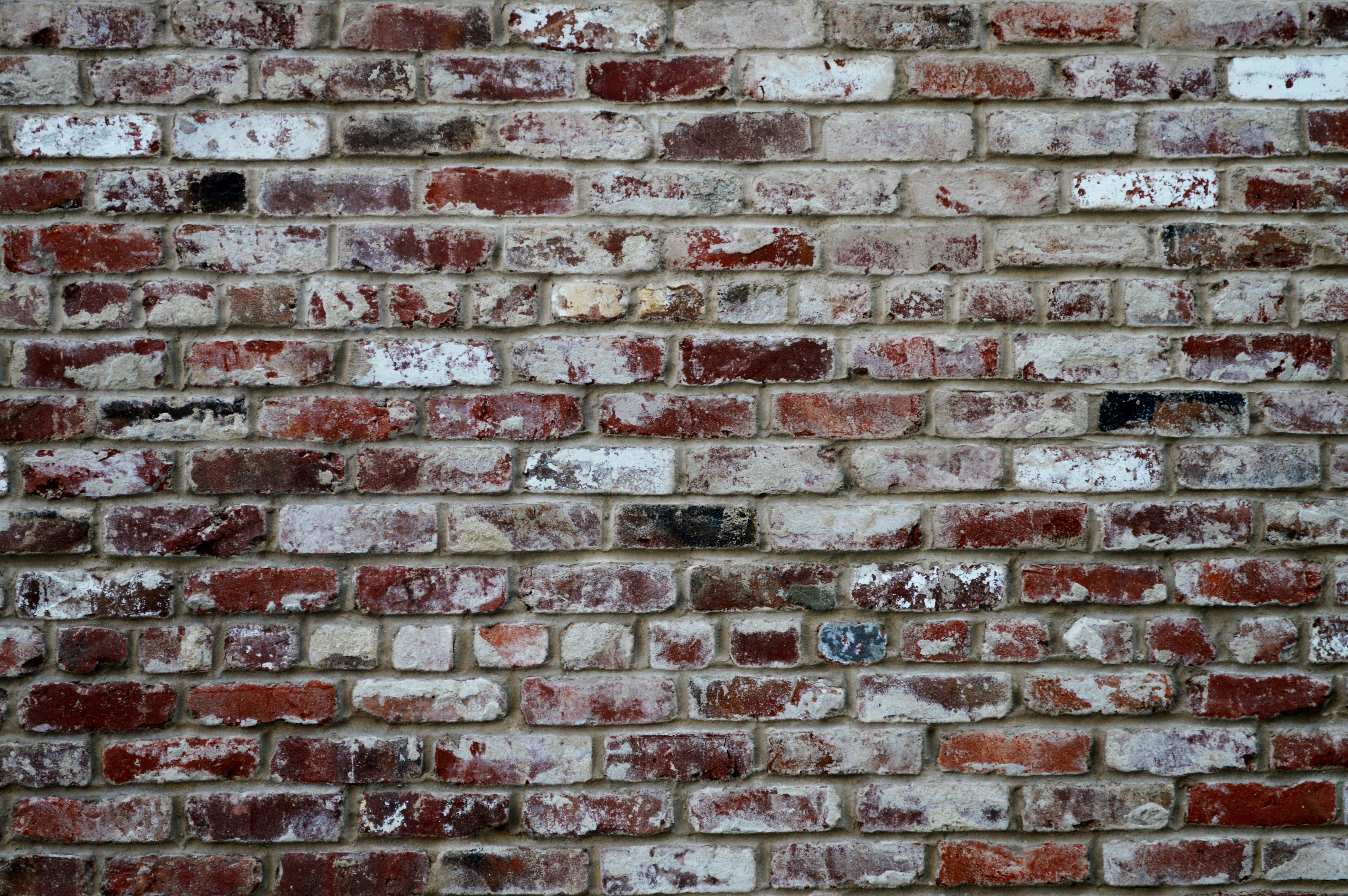 Free photo A wall of scuffed bricks