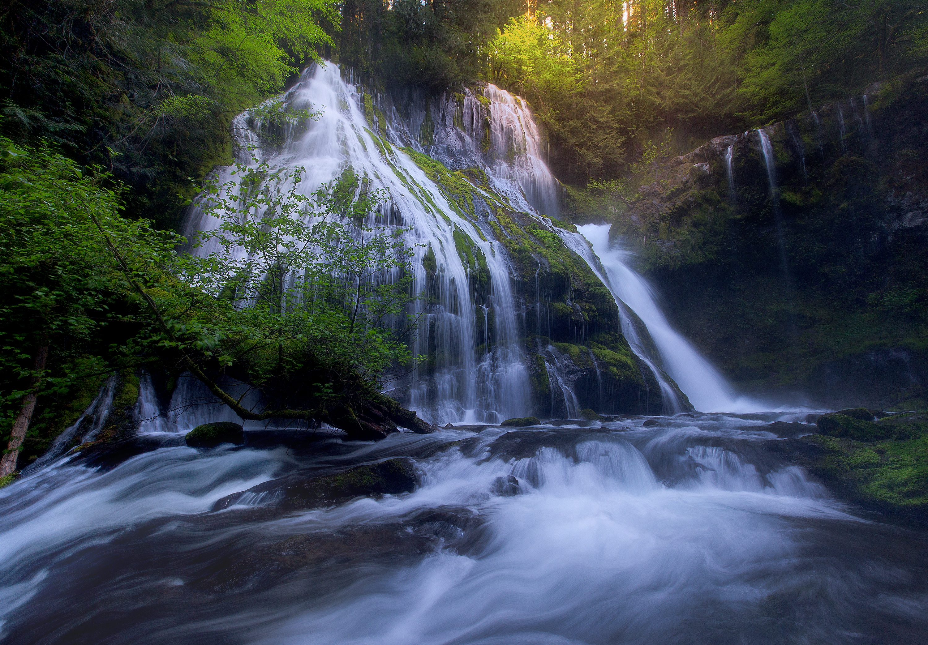 Free photo Large waterfall in the forest