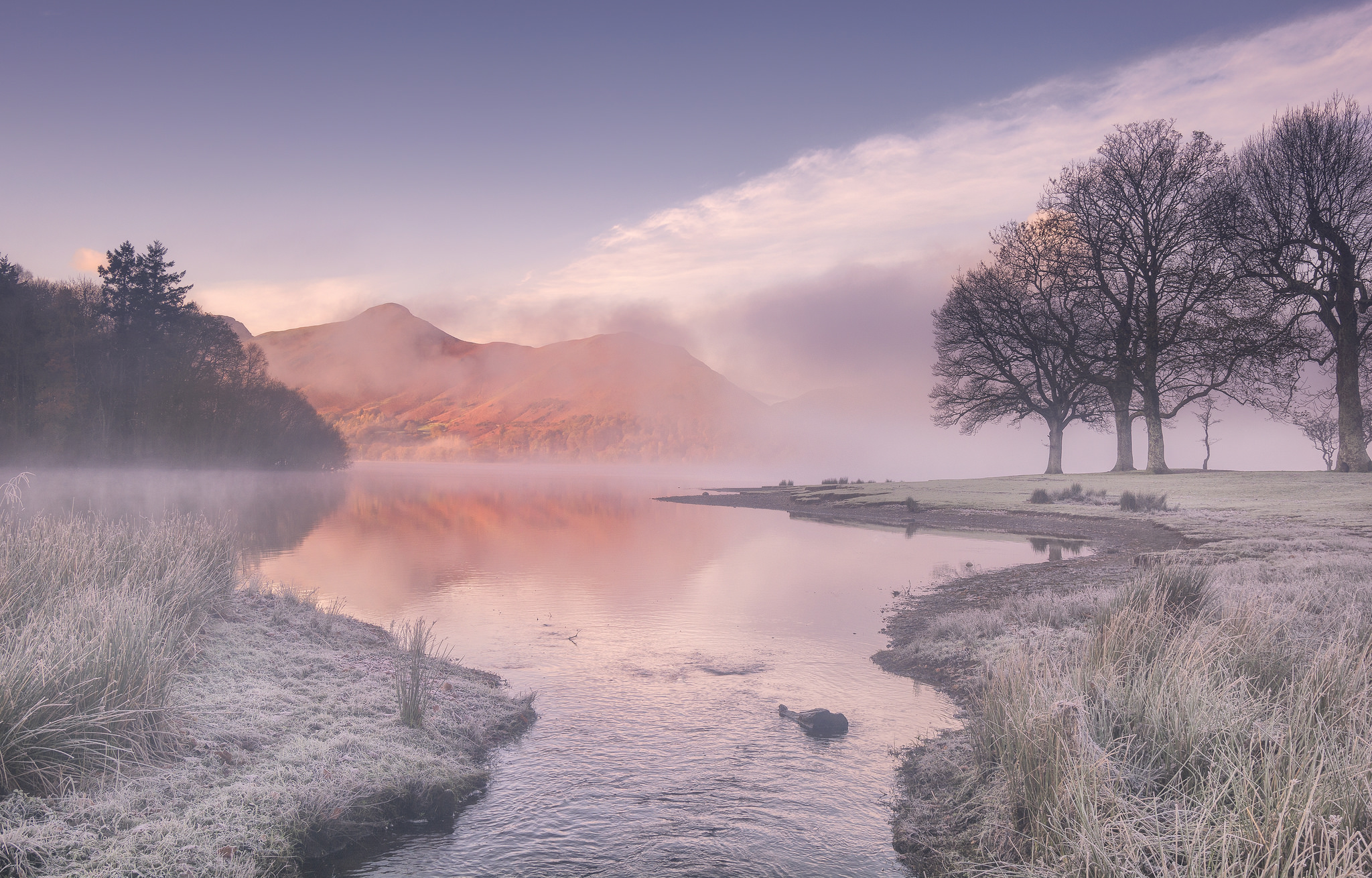 Free photo Frosts in late autumn