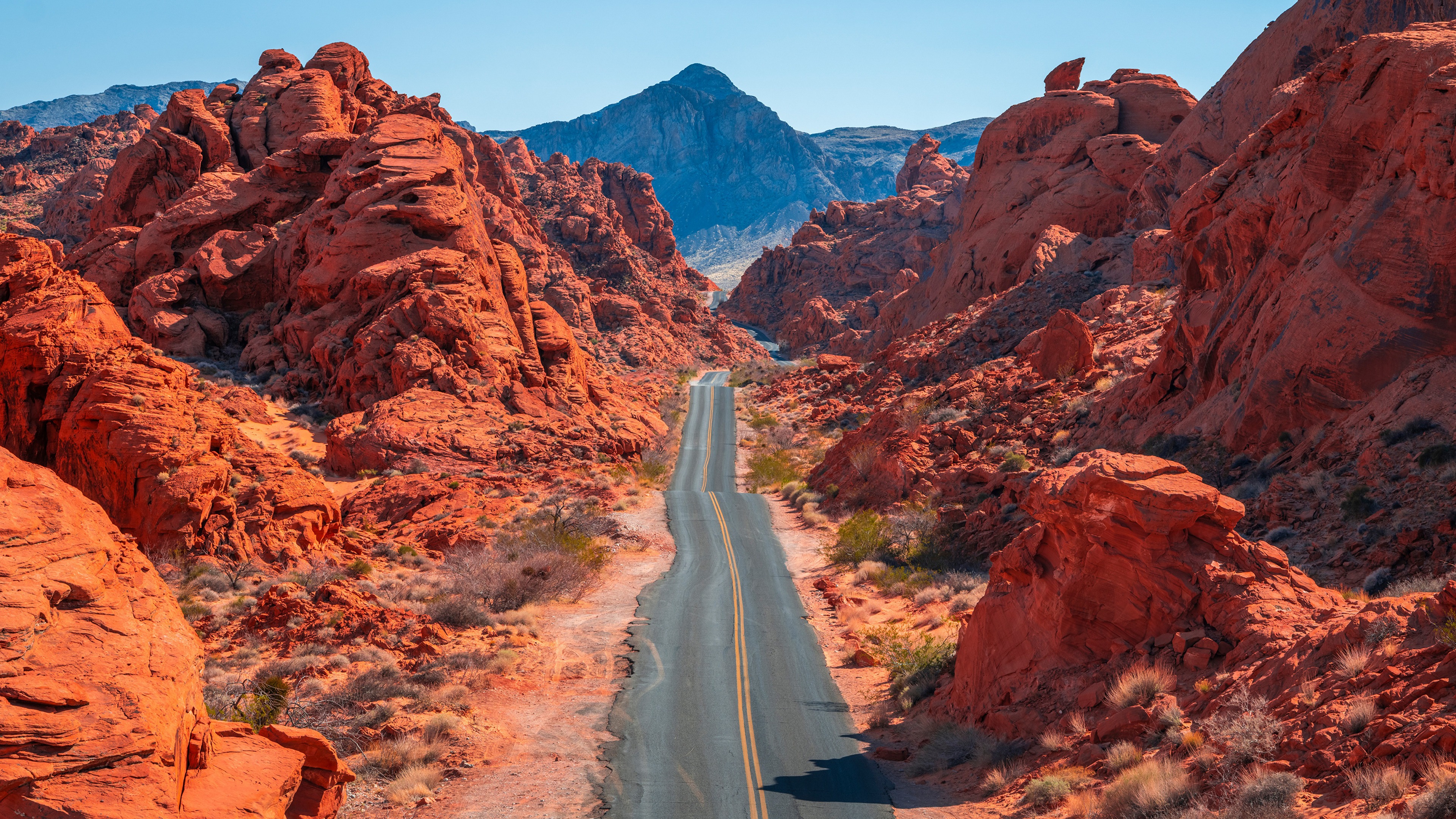 Free photo A paved road in the mountains of the United States