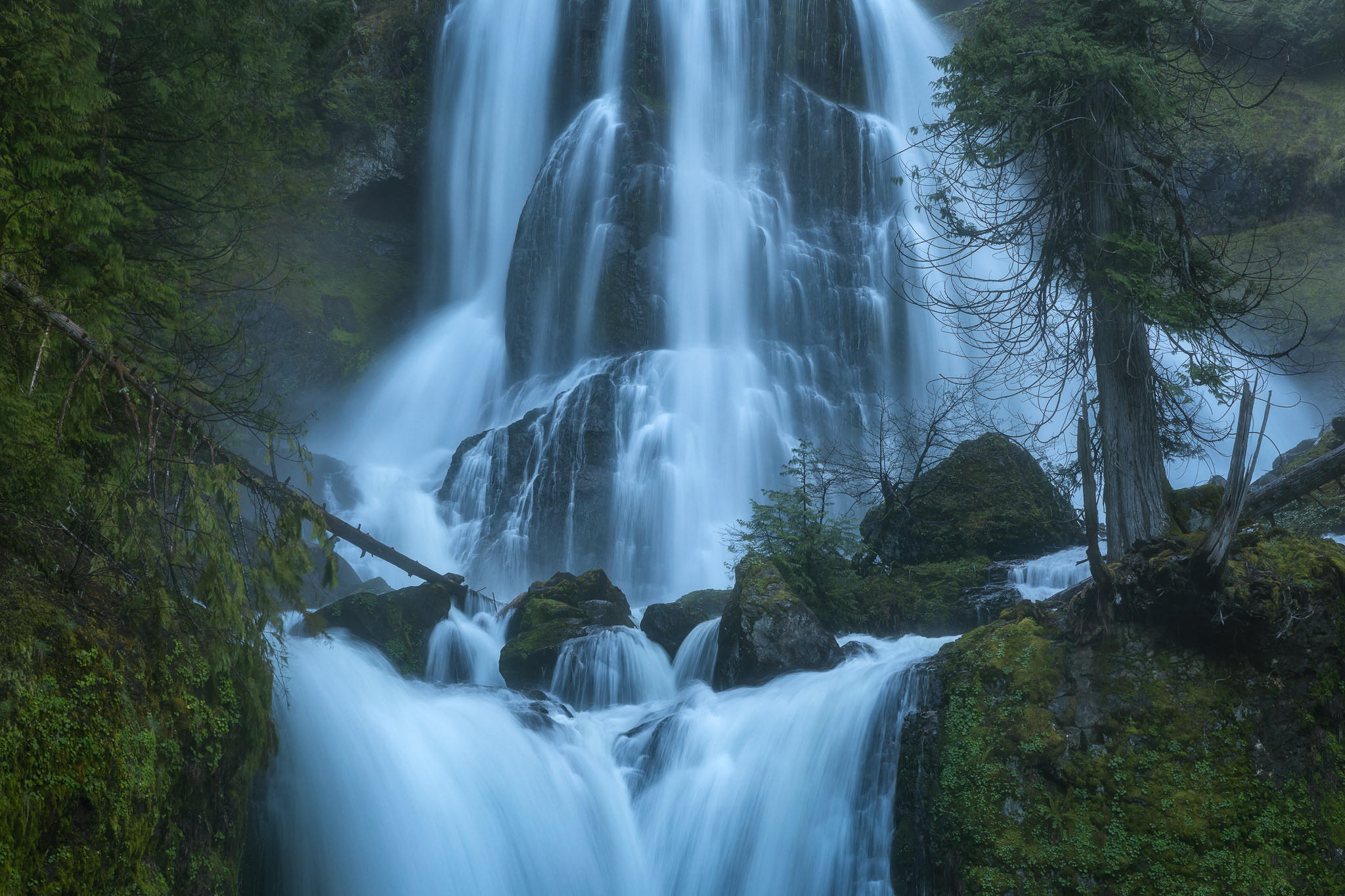 Обои Oregon Creek Falls деревья на рабочий стол