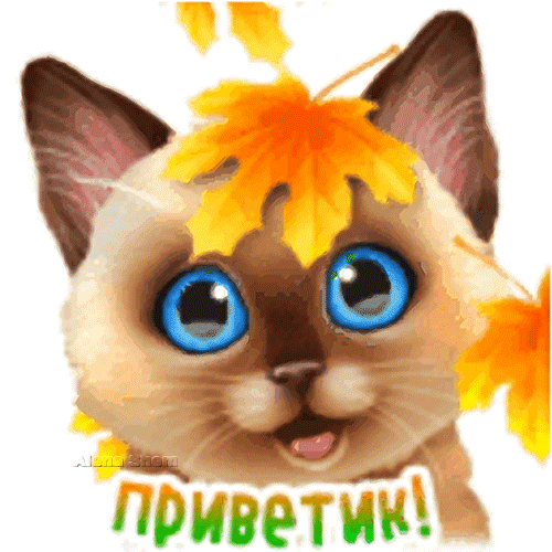 Открытка на тему осень котёнок листопад скачать бесплатно
