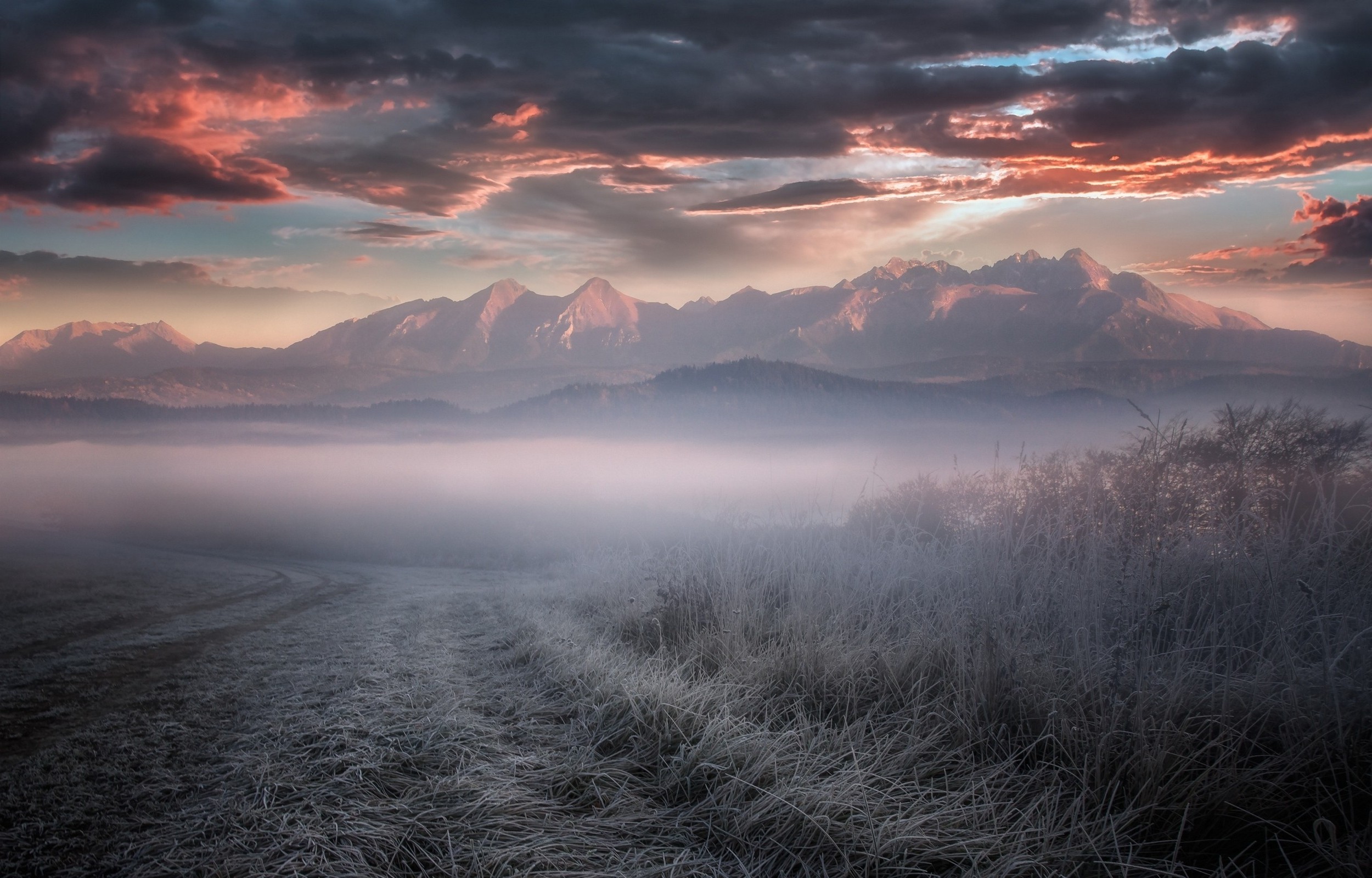 Wallpapers clouds cold dry grass on the desktop