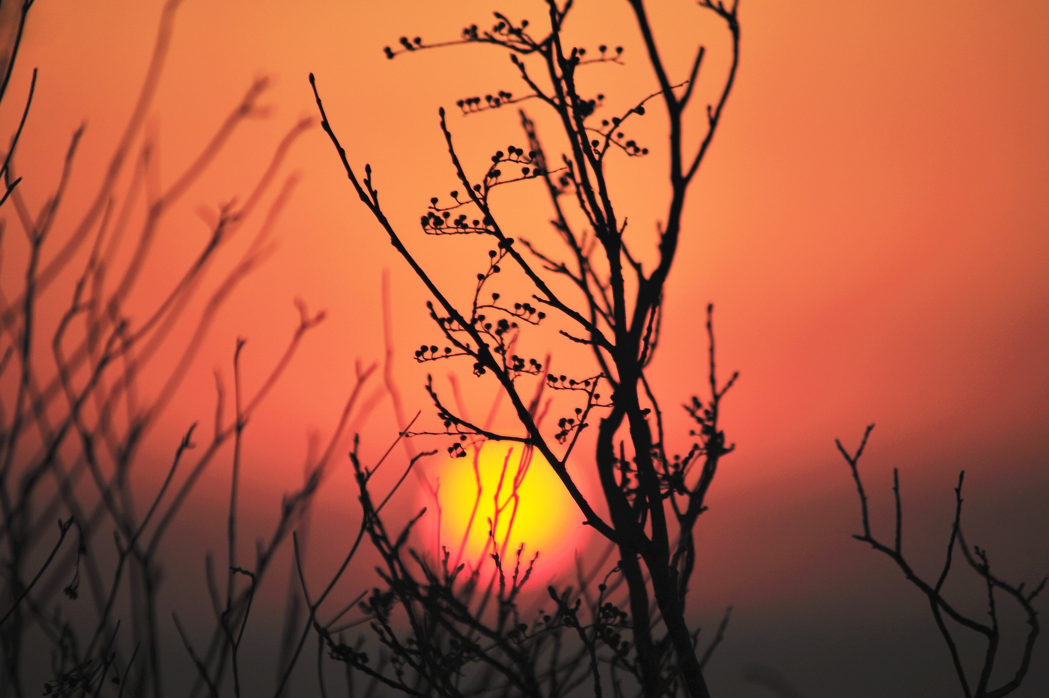 Бесплатное фото Сказочный закат